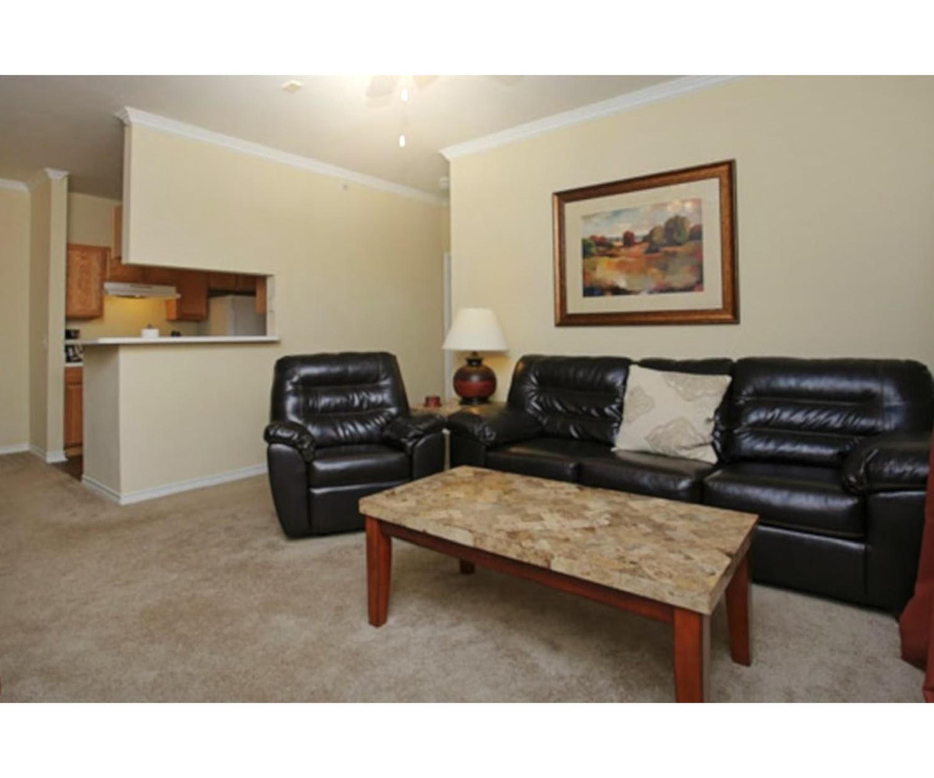 The Reside Fully Furnished Condos - Medical Stays Welcome, Houston, photo 6