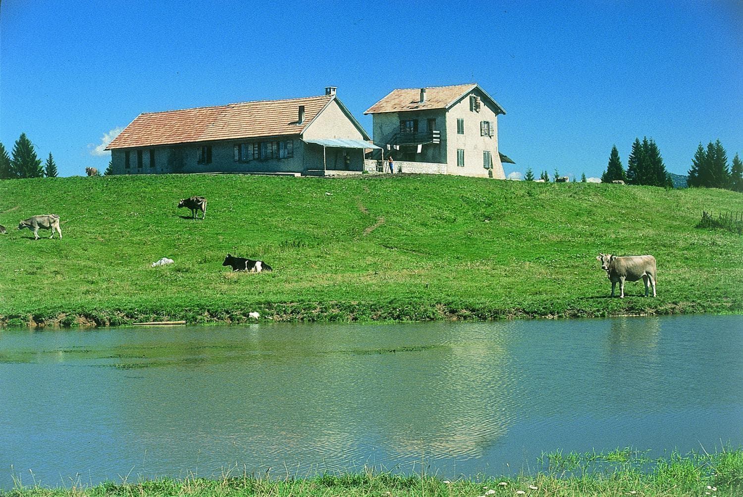 Alaska Clubresidence, Folgaria, photo 3