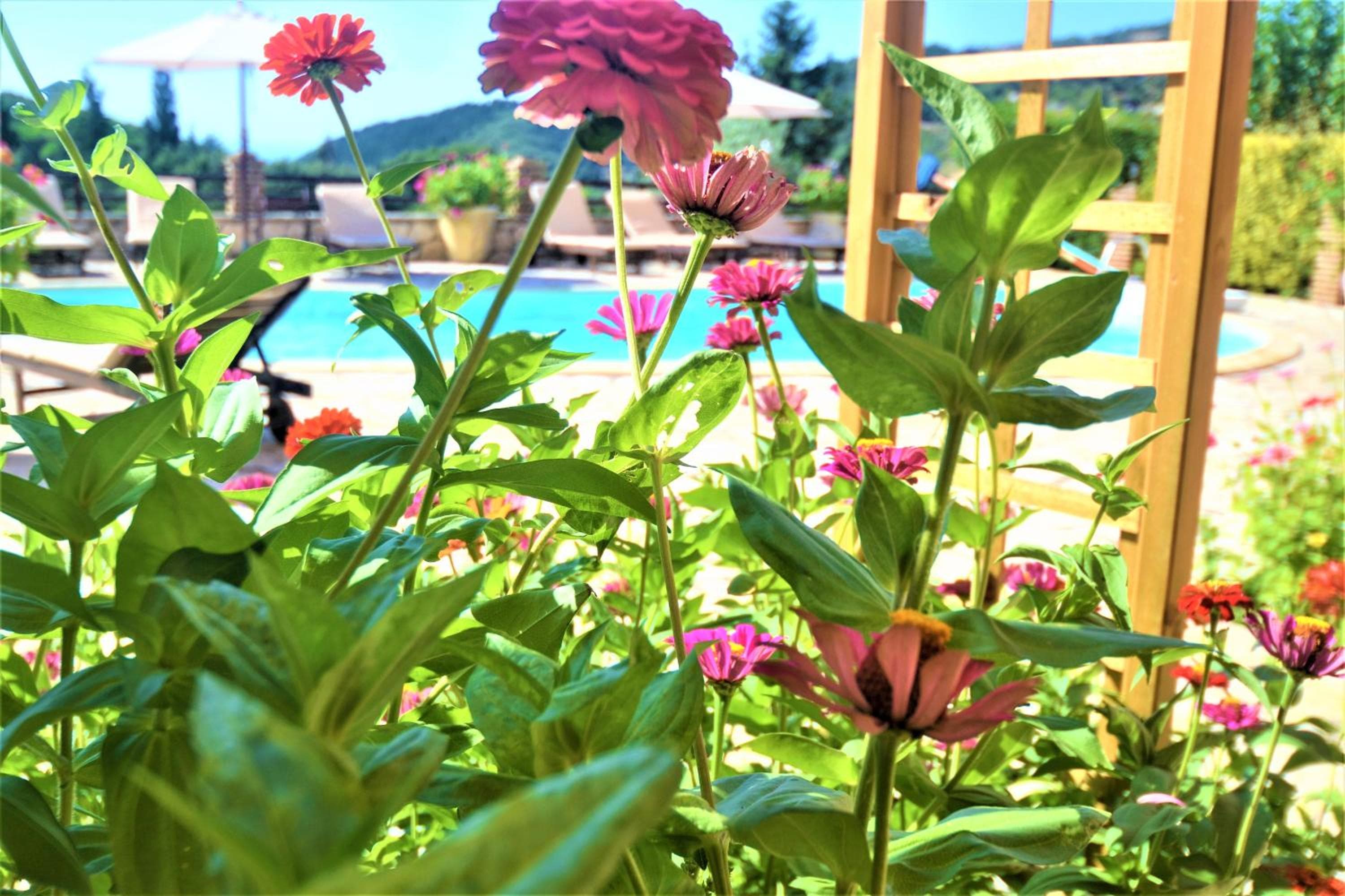 Harvest Moon Apartments, Lixouri, photo 3