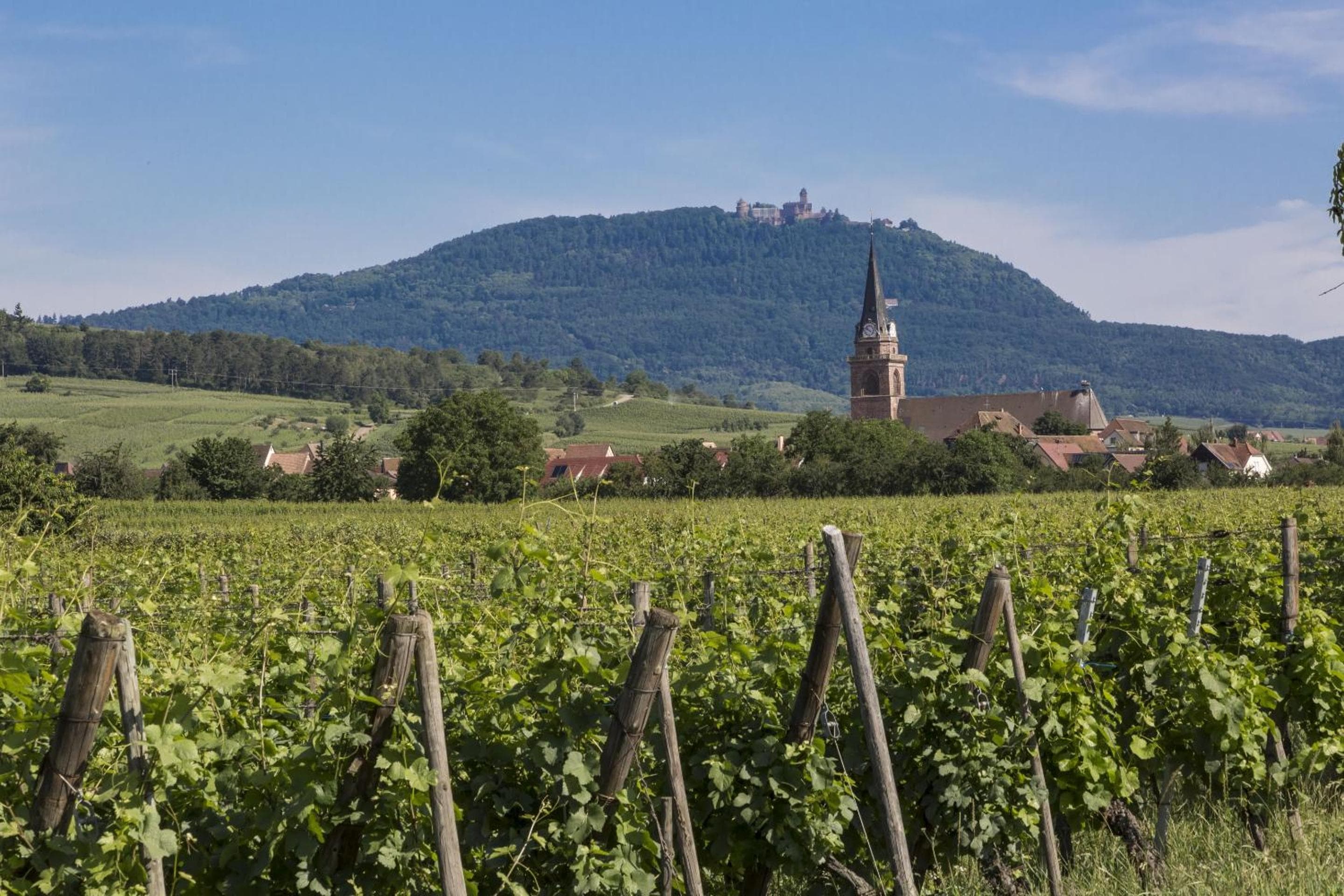 Résidence Odalys Le Domaine des Rois, Bergheim, photo 6
