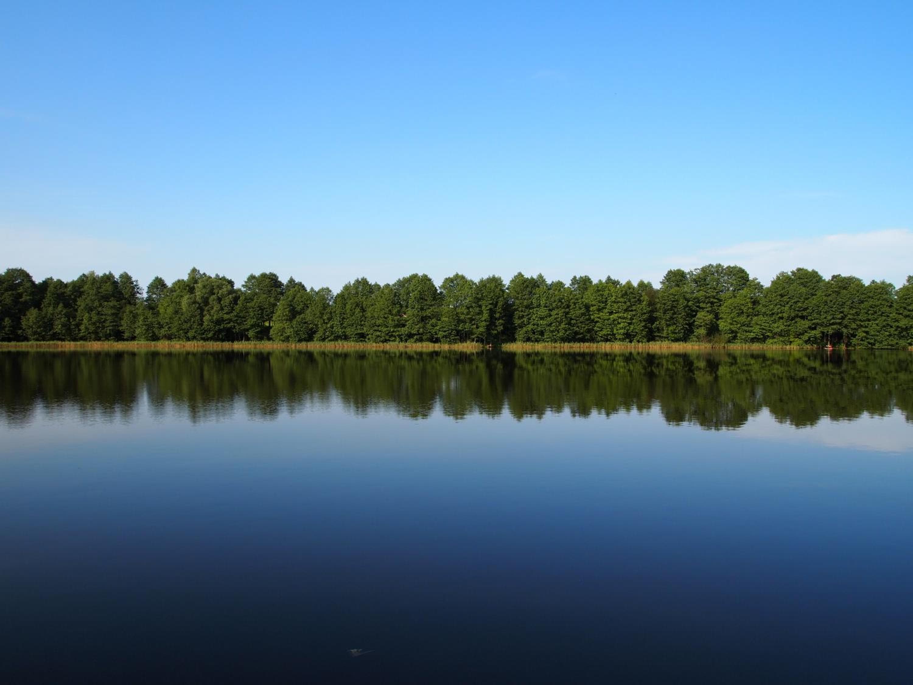 Ami Residence, Druskininkai, photo 5