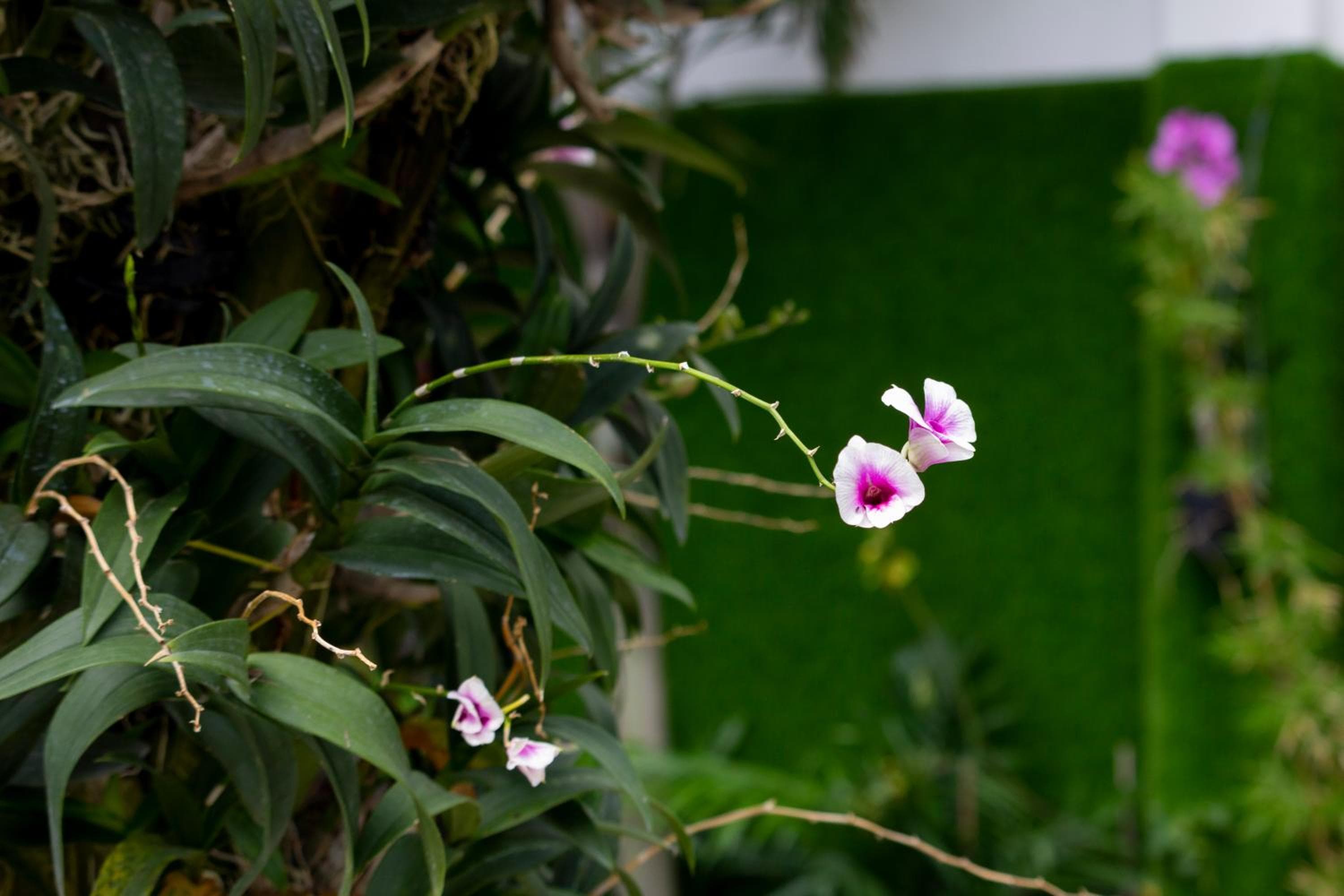 The Art - Tina Hotel and Apartments, Ho Chi Minh City, photo 2