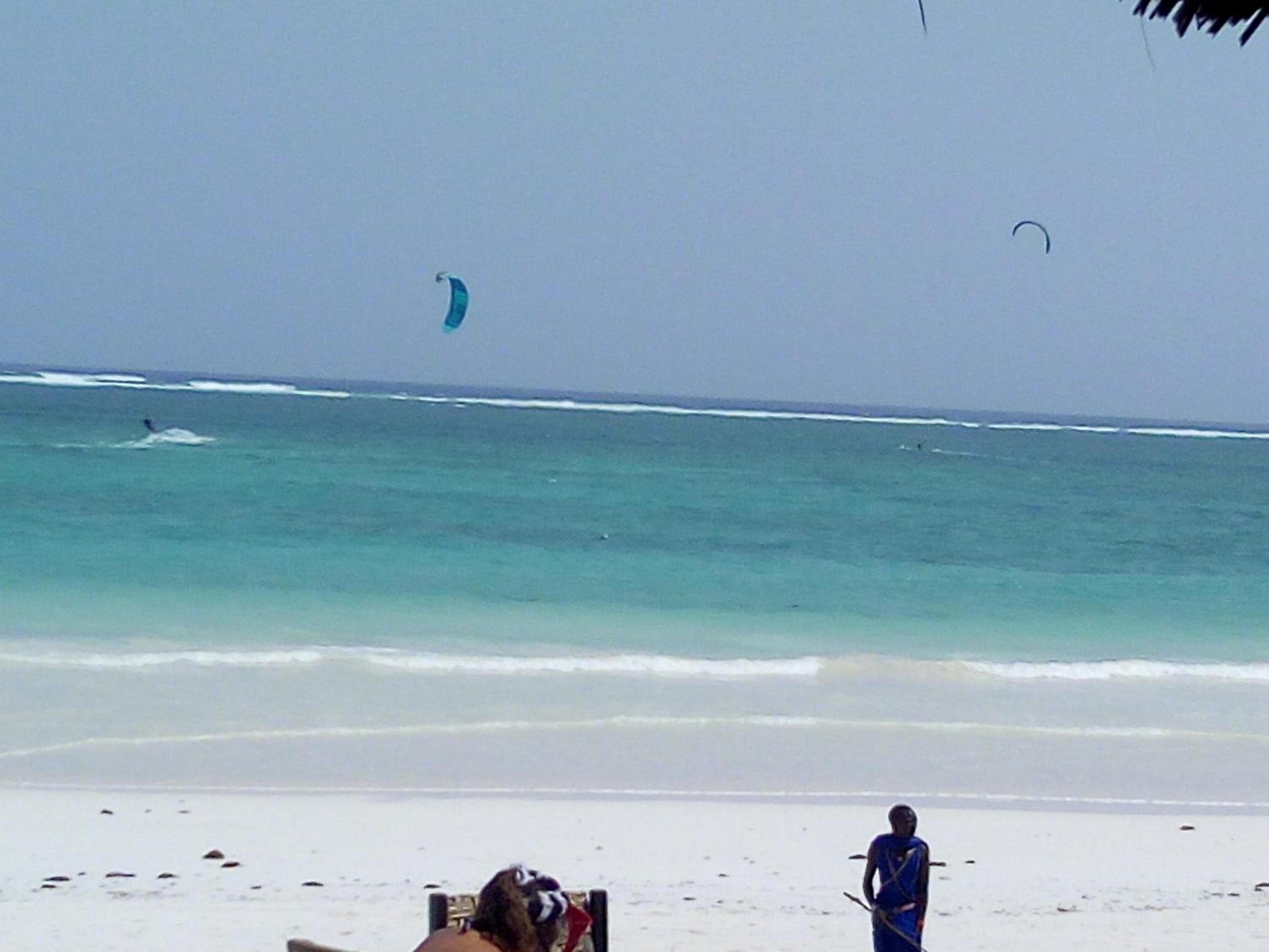 Aqua Resort, Diani Beach, photo 3