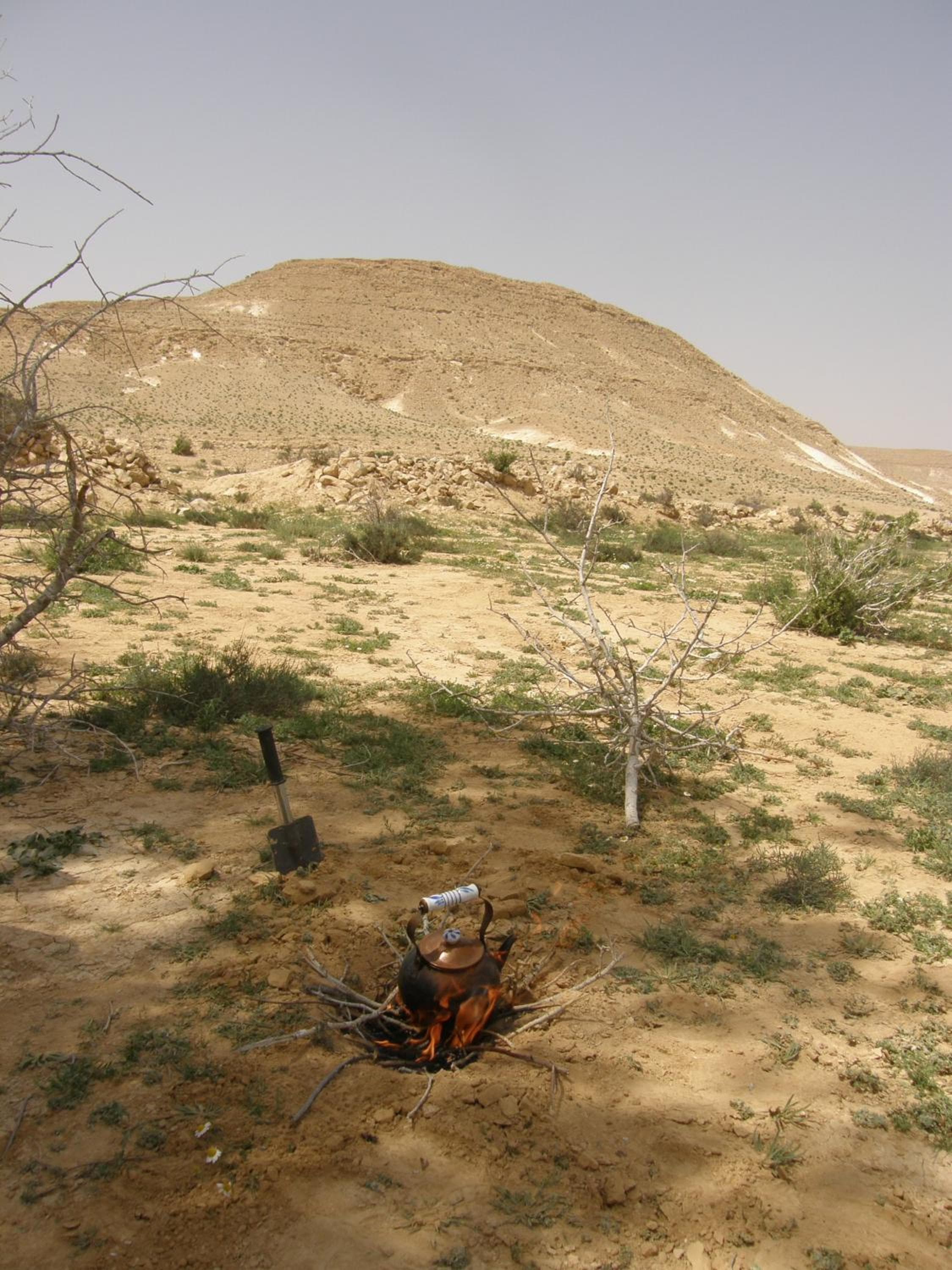 Hadass Desert Inn, Dimona, photo 3