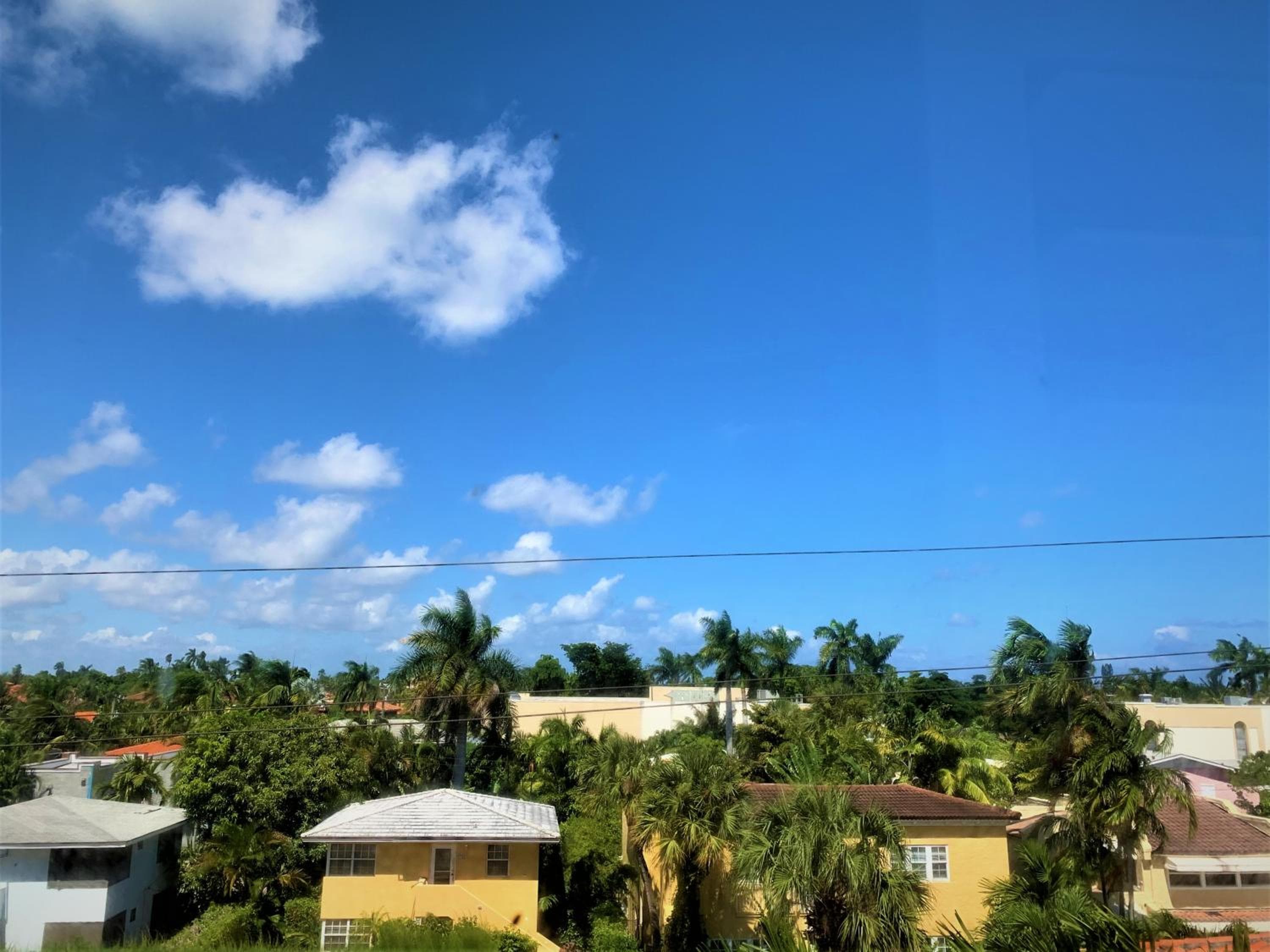 Tropicals of Palm Beach, Palm Beach, photo 4