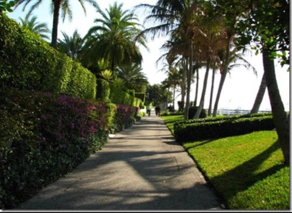 Hemingway Suites at Palm Beach Hotel Island, Palm Beach, photo 3