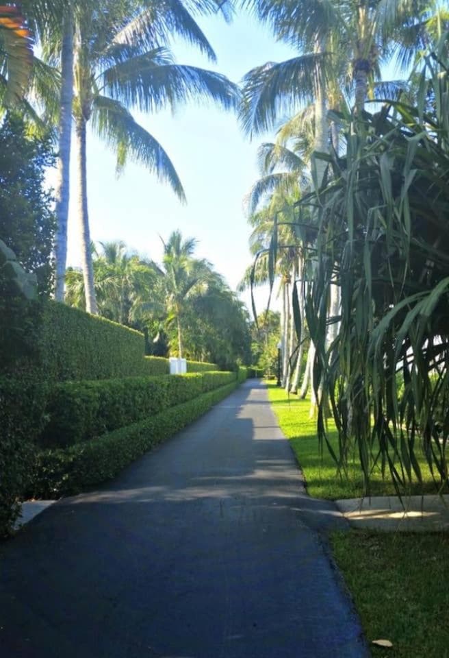 Hemingway Suites at Palm Beach Hotel Island, Palm Beach, photo 4