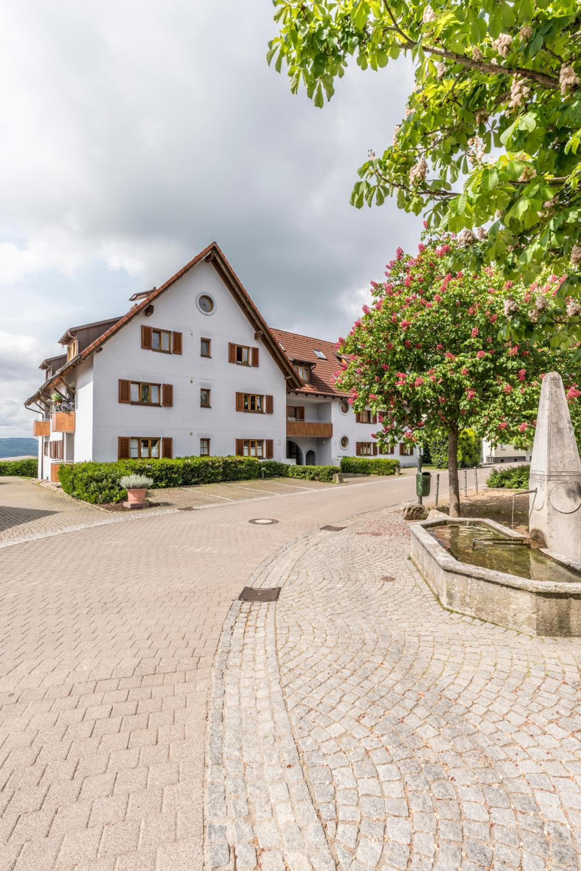 RH-Appartements 15 Minuten von Basel im Dorf Rührberg, Grenzach-Wyhlen