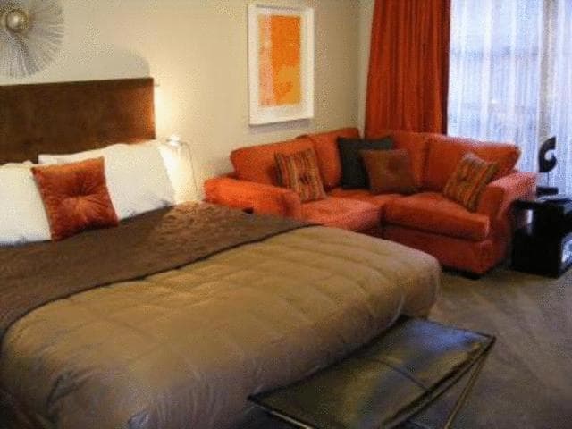 Terra Vive Suites & Apartments, Christchurch, photo 4