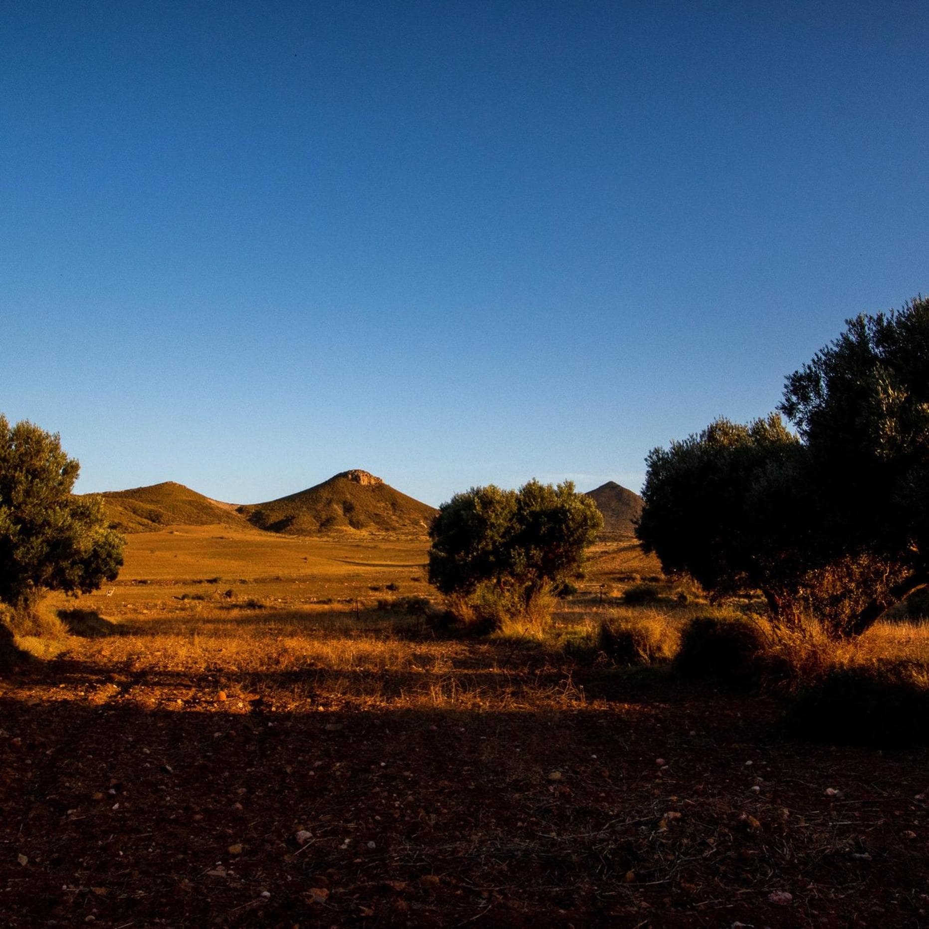 Oro y Luz, Rodalquilar, photo 2