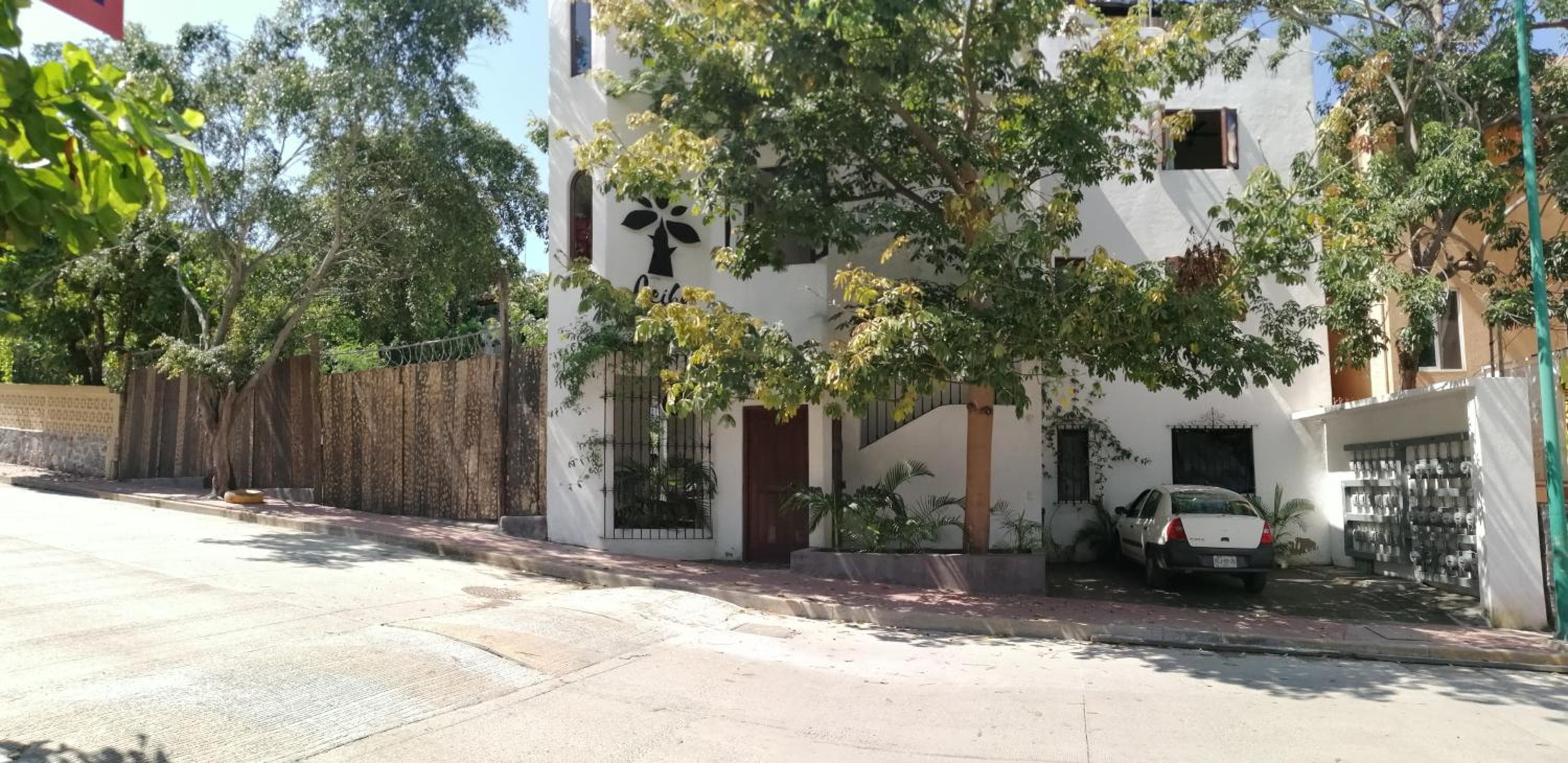 Ceiba Studios, Zihuatanejo, photo 6