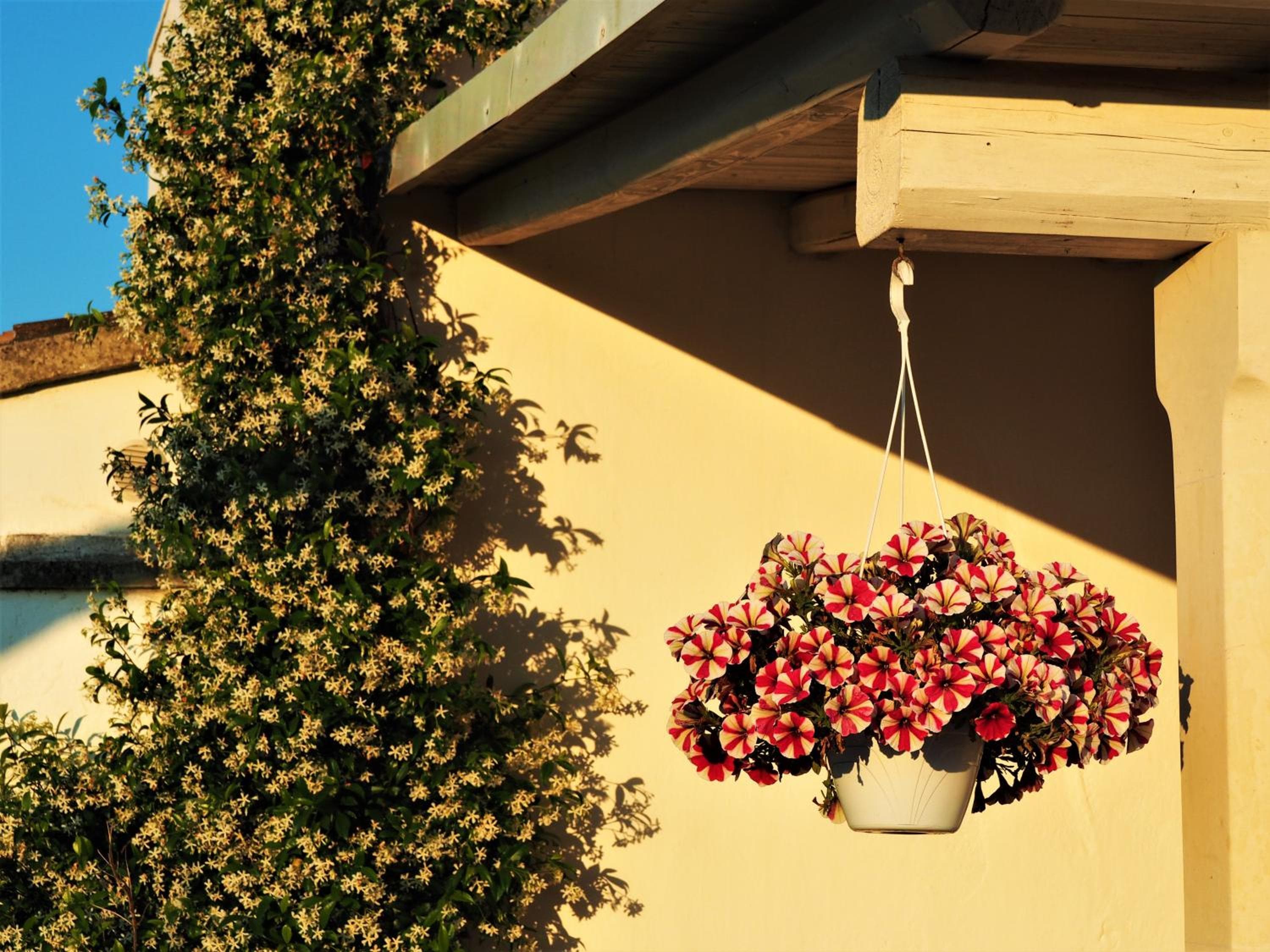 MASSERIA SALENTINA - Authentic Experience, Borgagne, photo 6