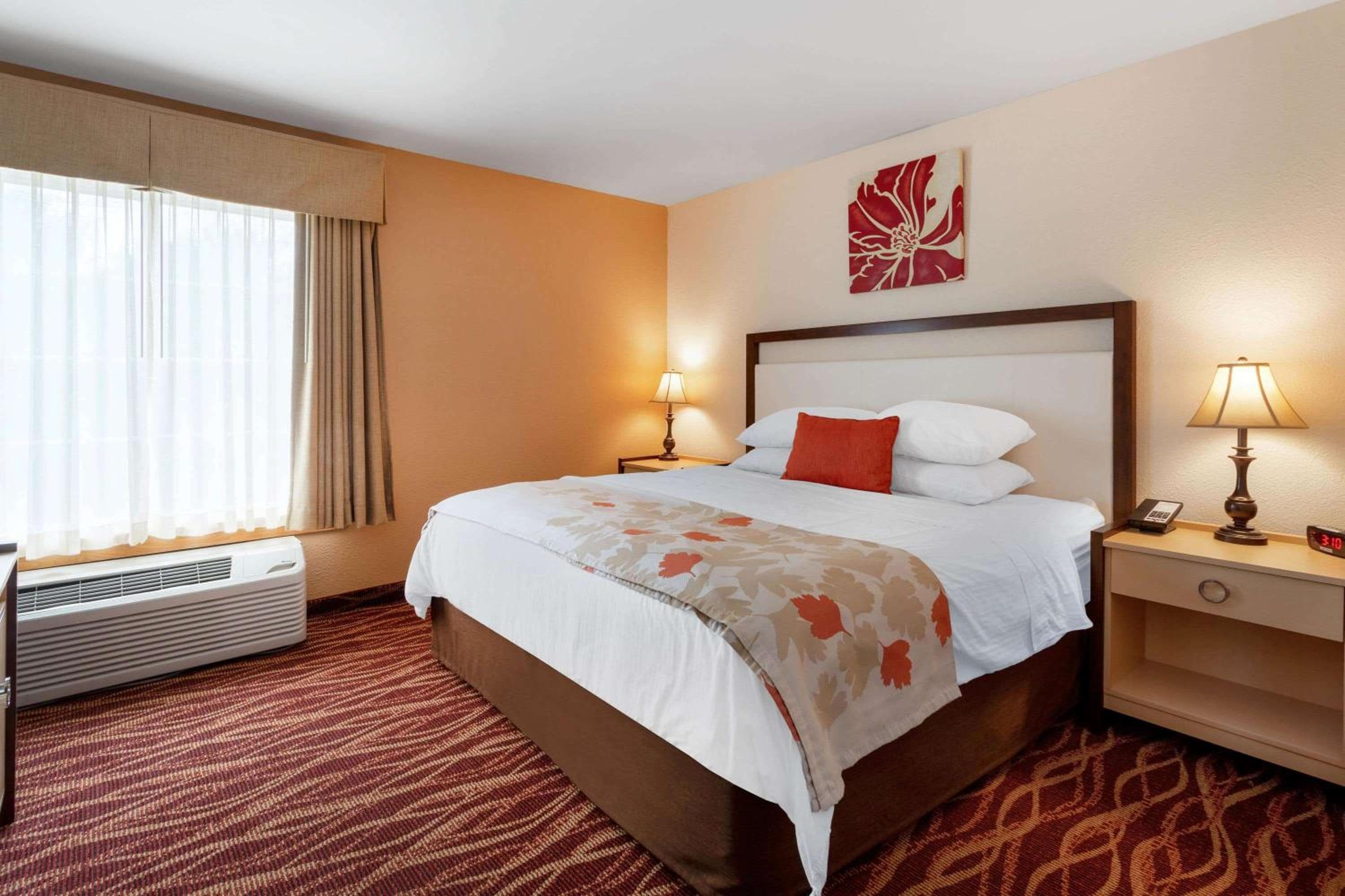 Hawthorn Suites by Wyndham Allentown-Fogelsville, Fogelsville, photo 4