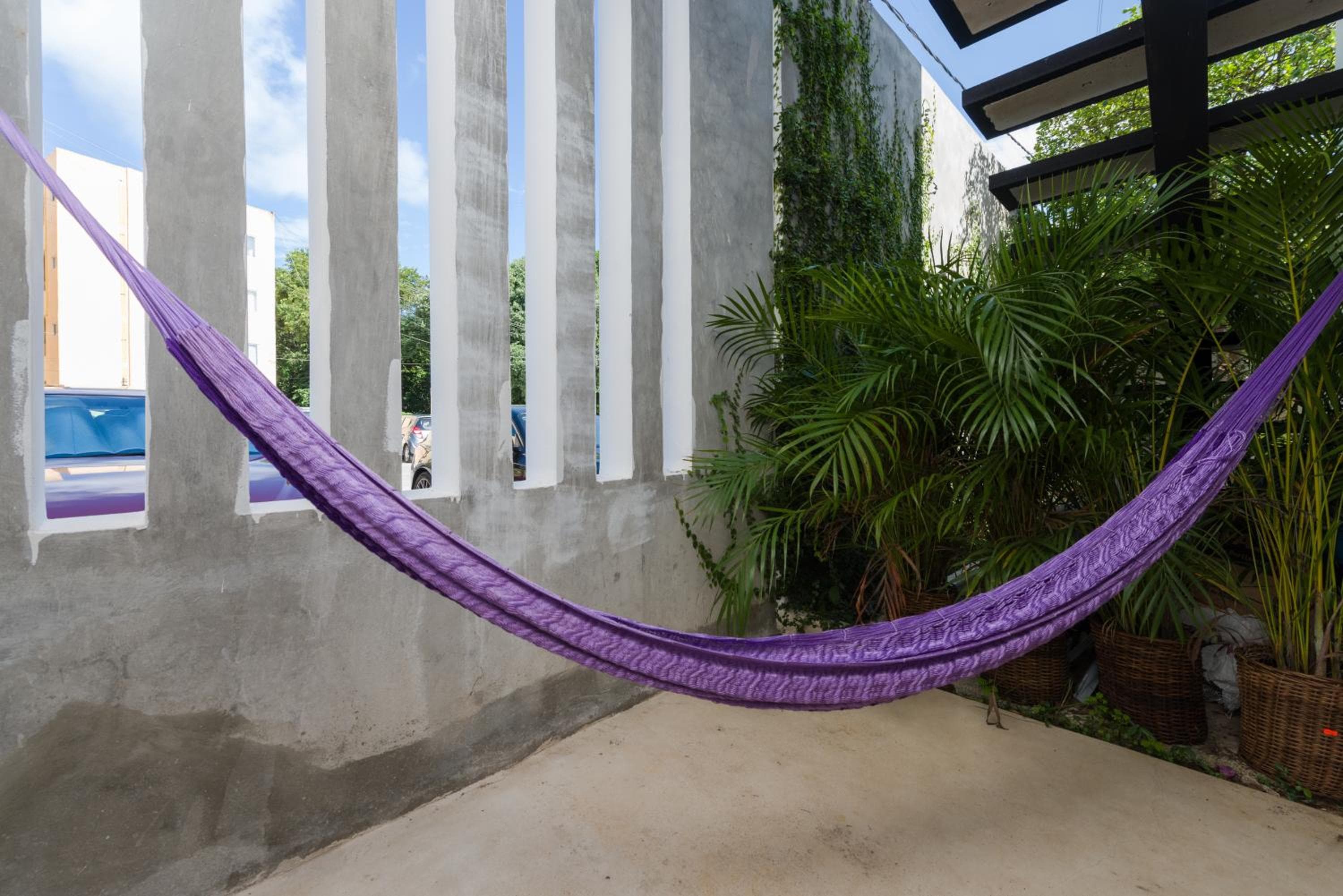 Stay Tropical, Cancún, photo 6