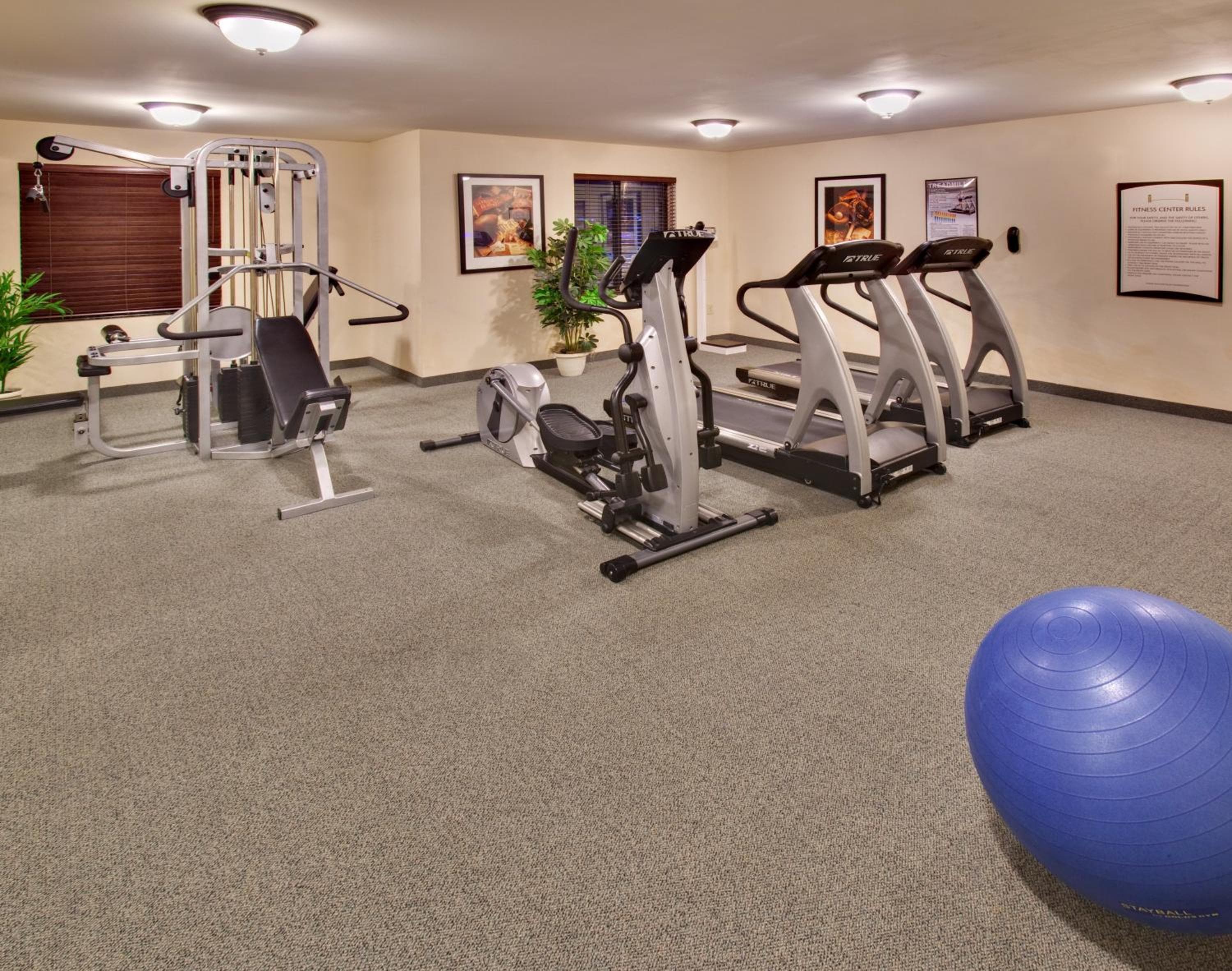 Staybridge Suites Davenport by IHG, Davenport, photo 6