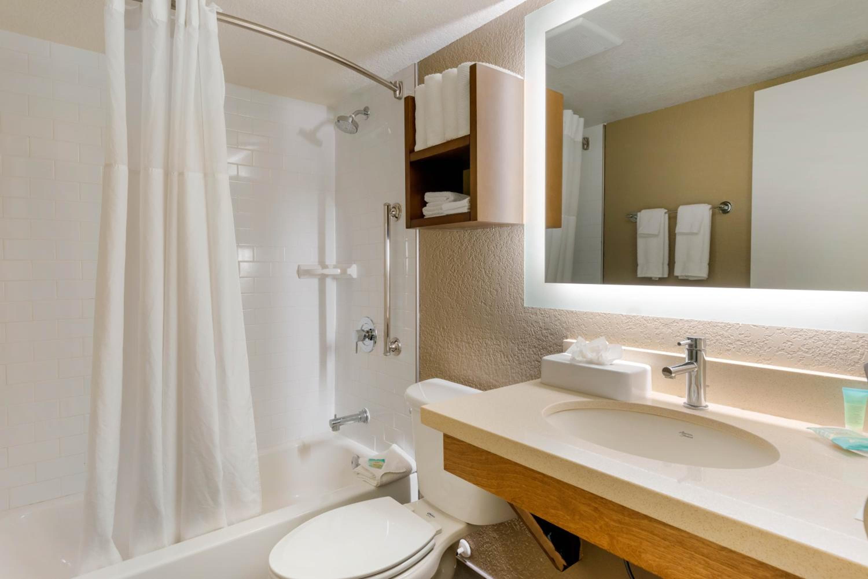 Bathroom at Staybridge Suites Orlando Royale Parc Suites by IHG