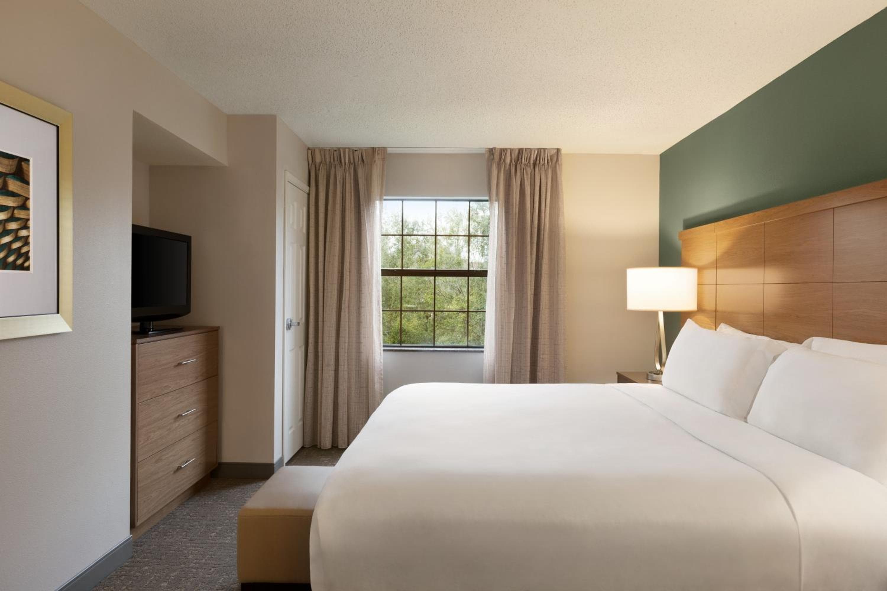 Staybridge Suites Tampa East- Brandon by IHG, Tampa, photo 3