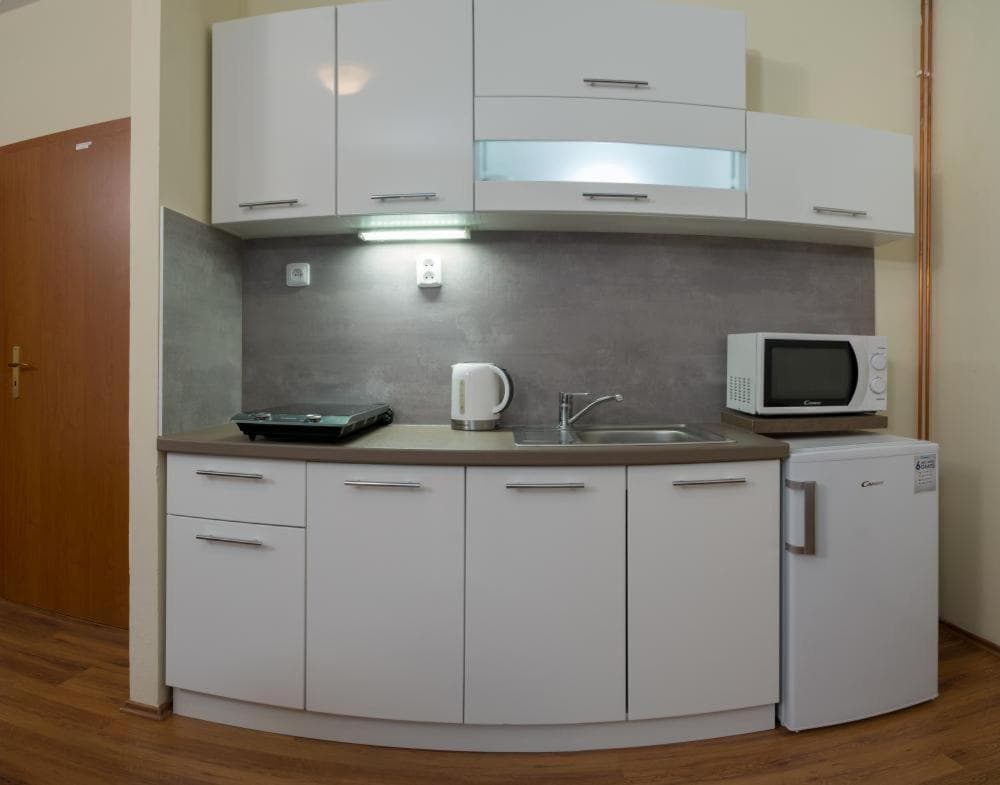 Apartmány Divoký Anděl, Dolní Moravice, photo 4
