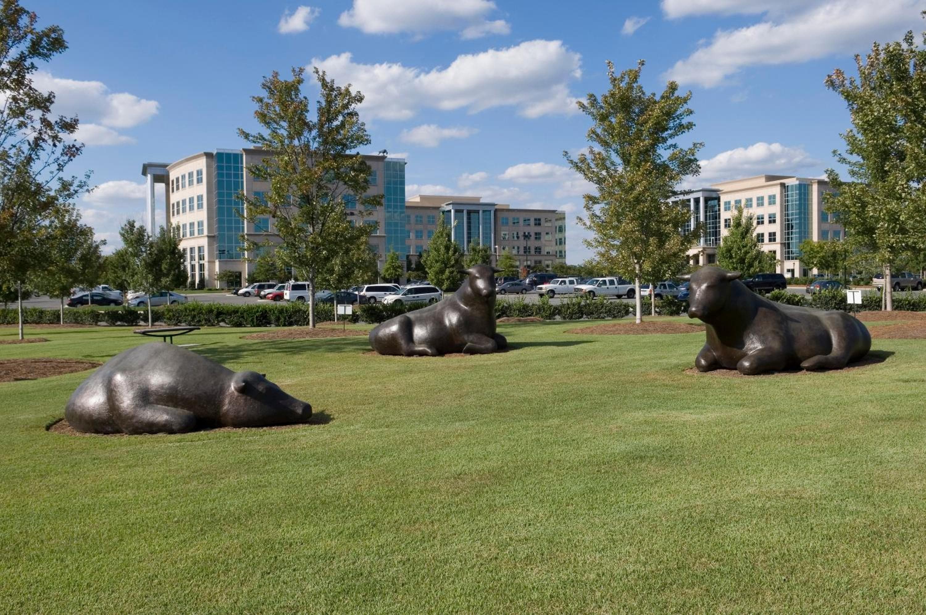 Staybridge Suites - Charlotte Ballantyne by IHG, Charlotte, photo 5