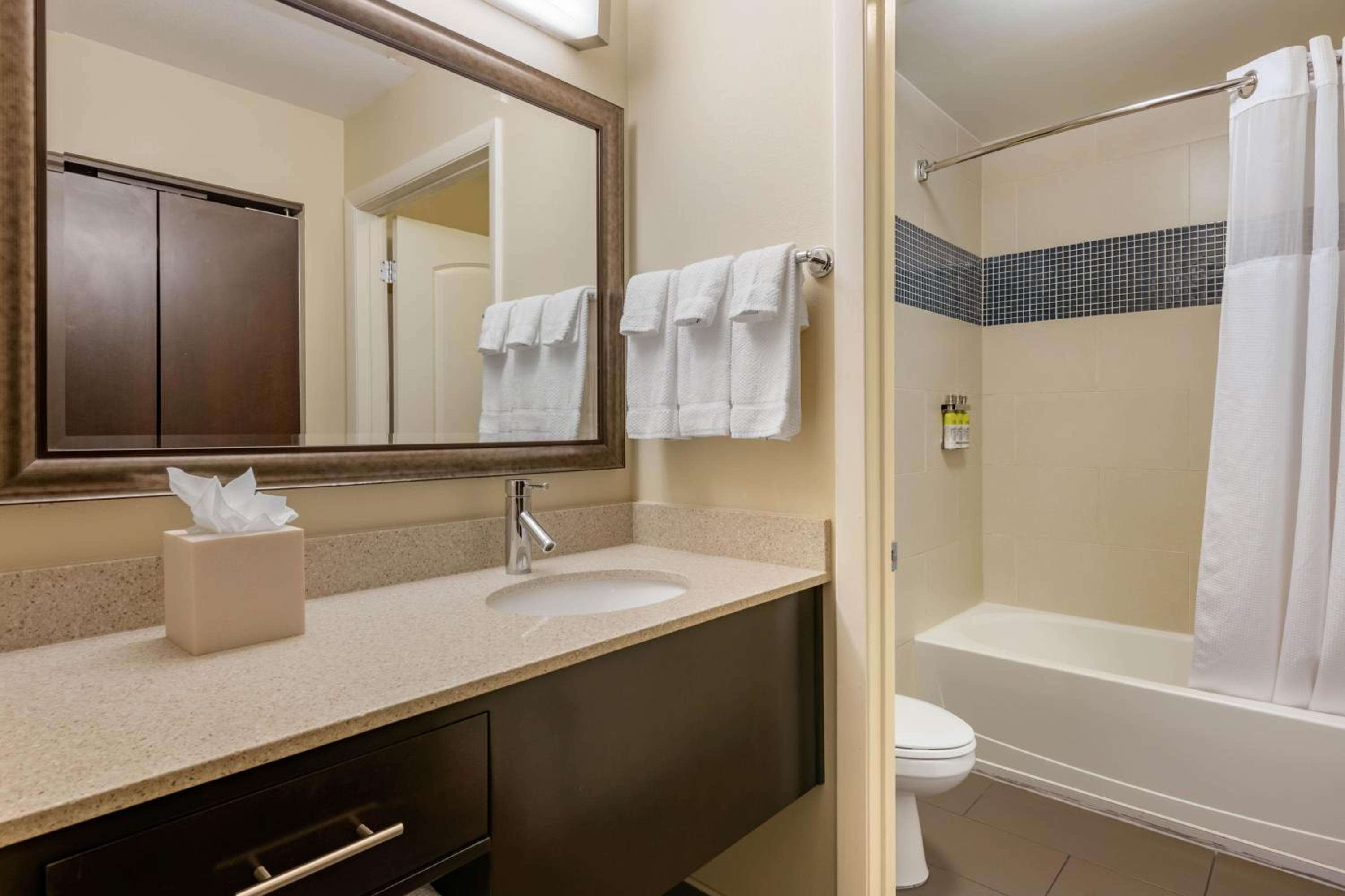 Staybridge Suites St. Petersburg FL by IHG, Saint Petersburg, photo 4