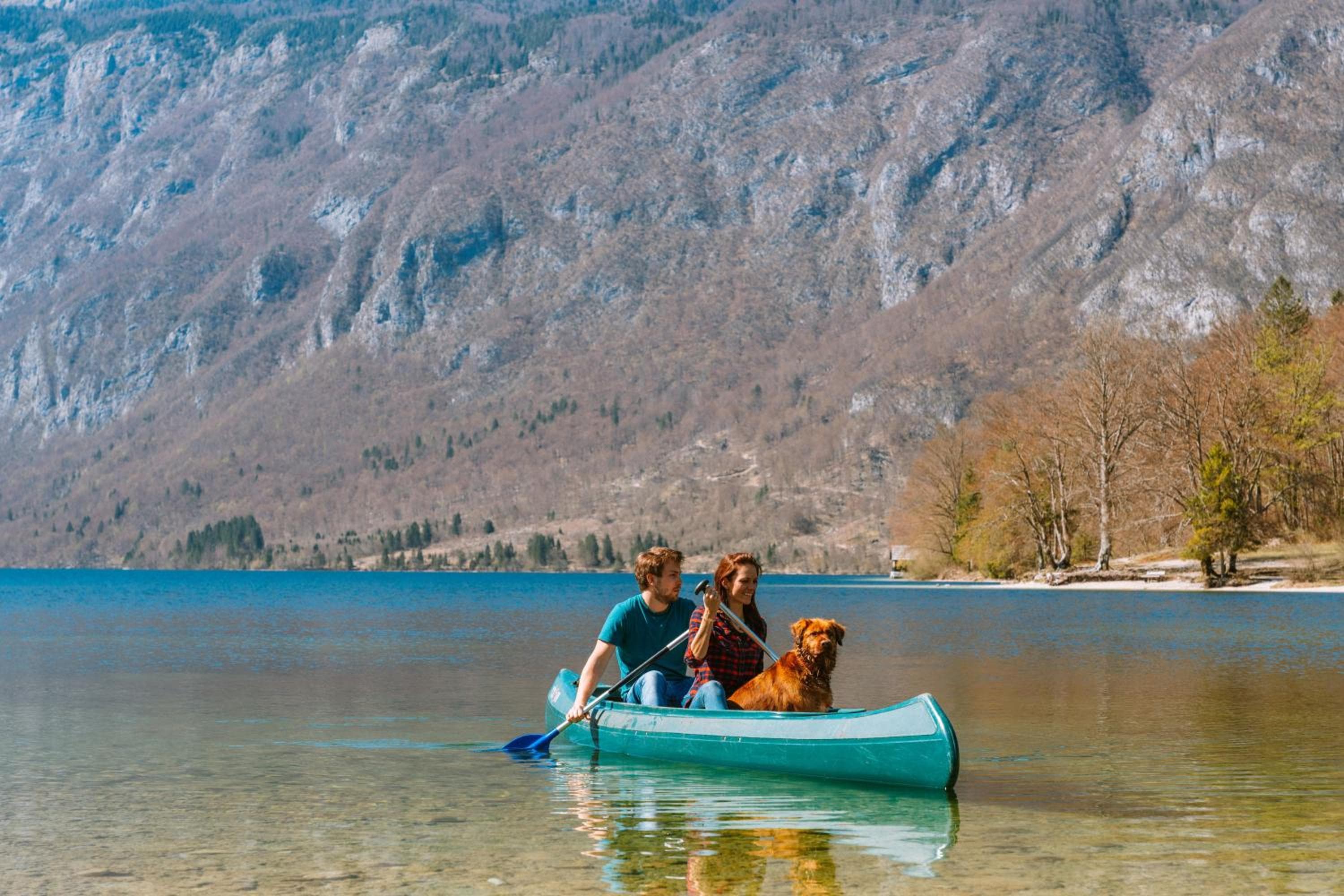 Apartmaji Triglav, Bohinj, photo 5
