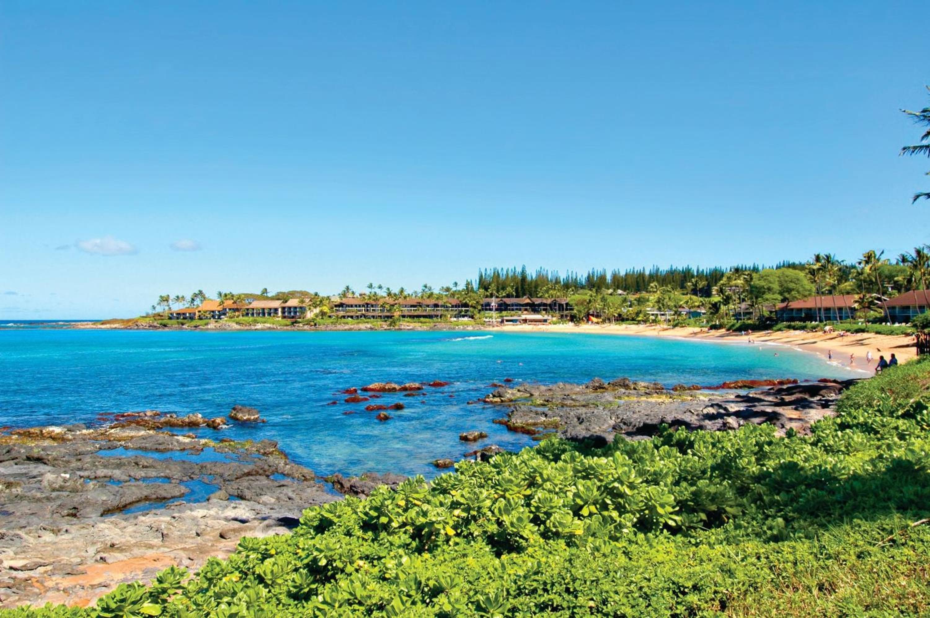 Napili Shores Maui by OUTRIGGER - No Resort & Housekeeping Fees, Honokowai