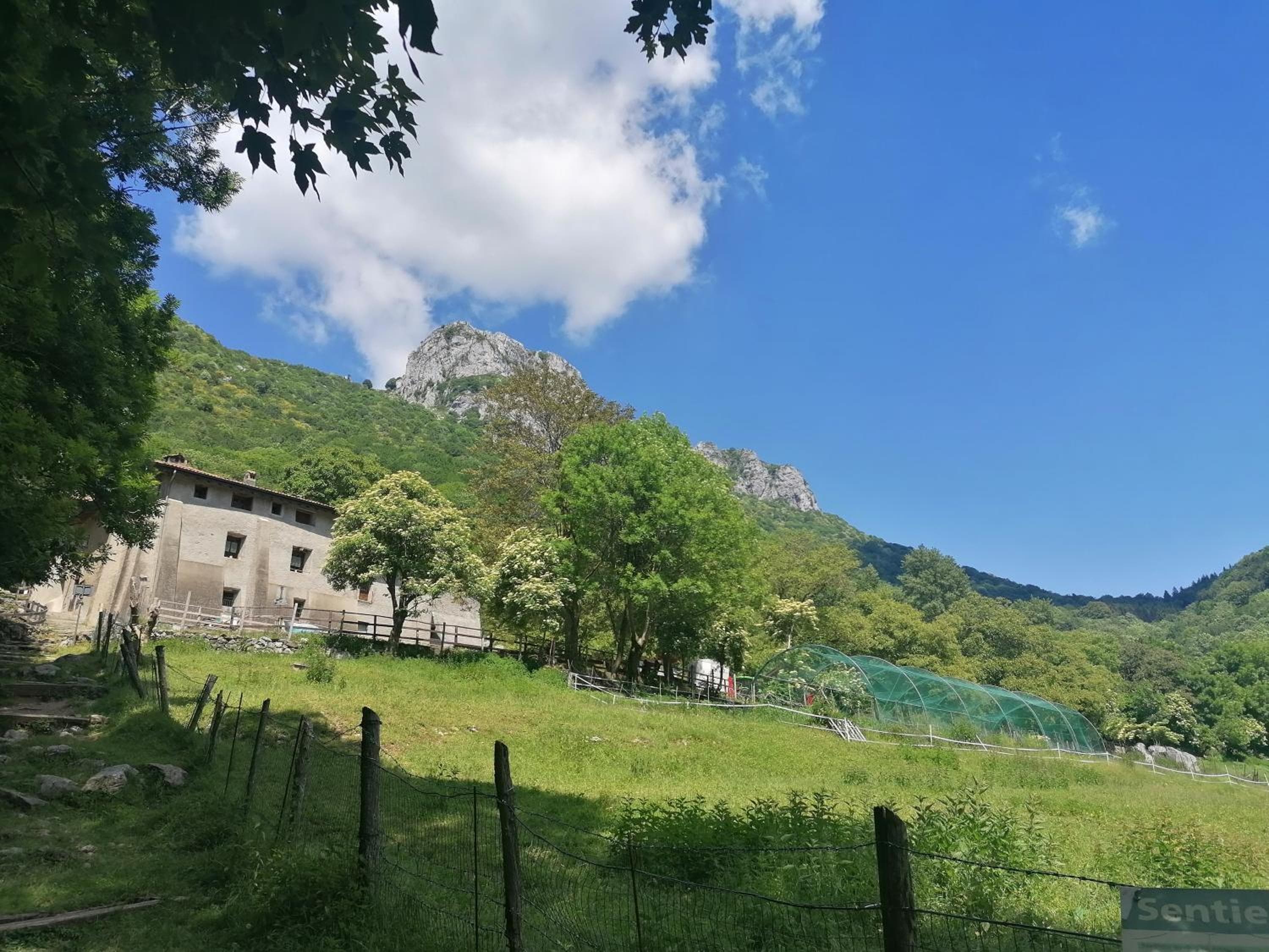 La Ruota del Mulino, Nesso