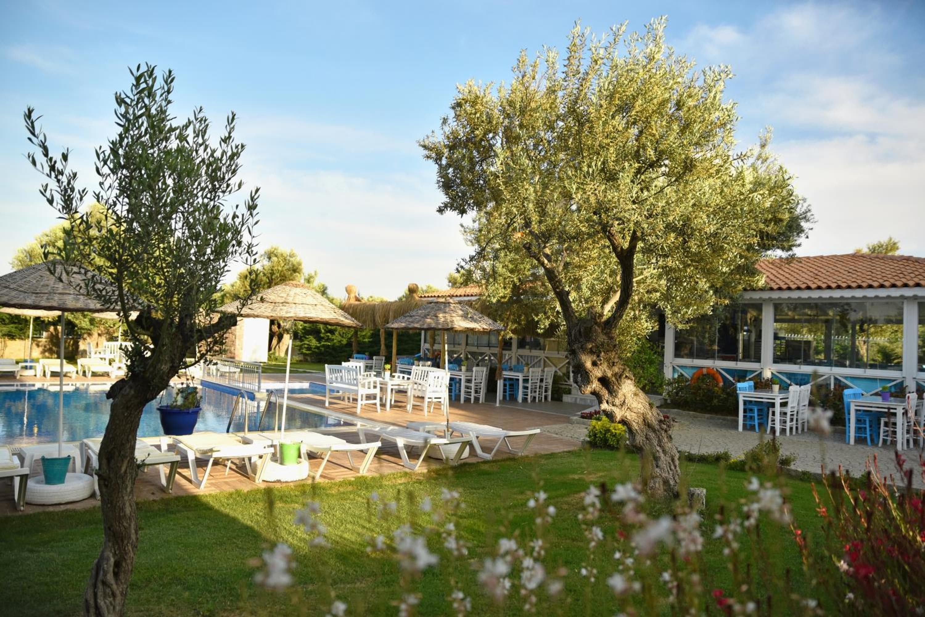 Zeytin Arası Apart Otel, Ayvalık, photo 3