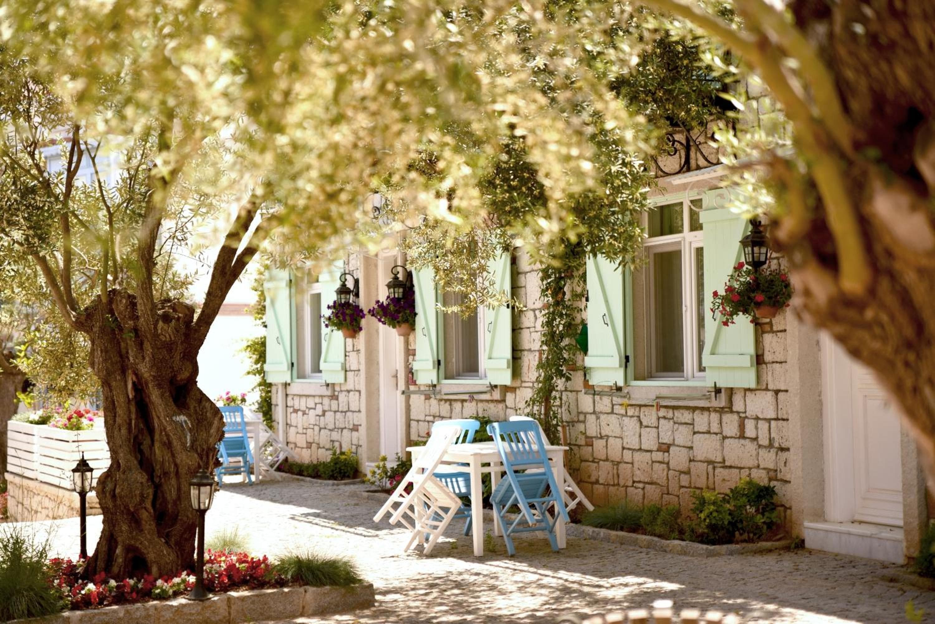 Zeytin Arası Apart Otel, Ayvalık, photo 6