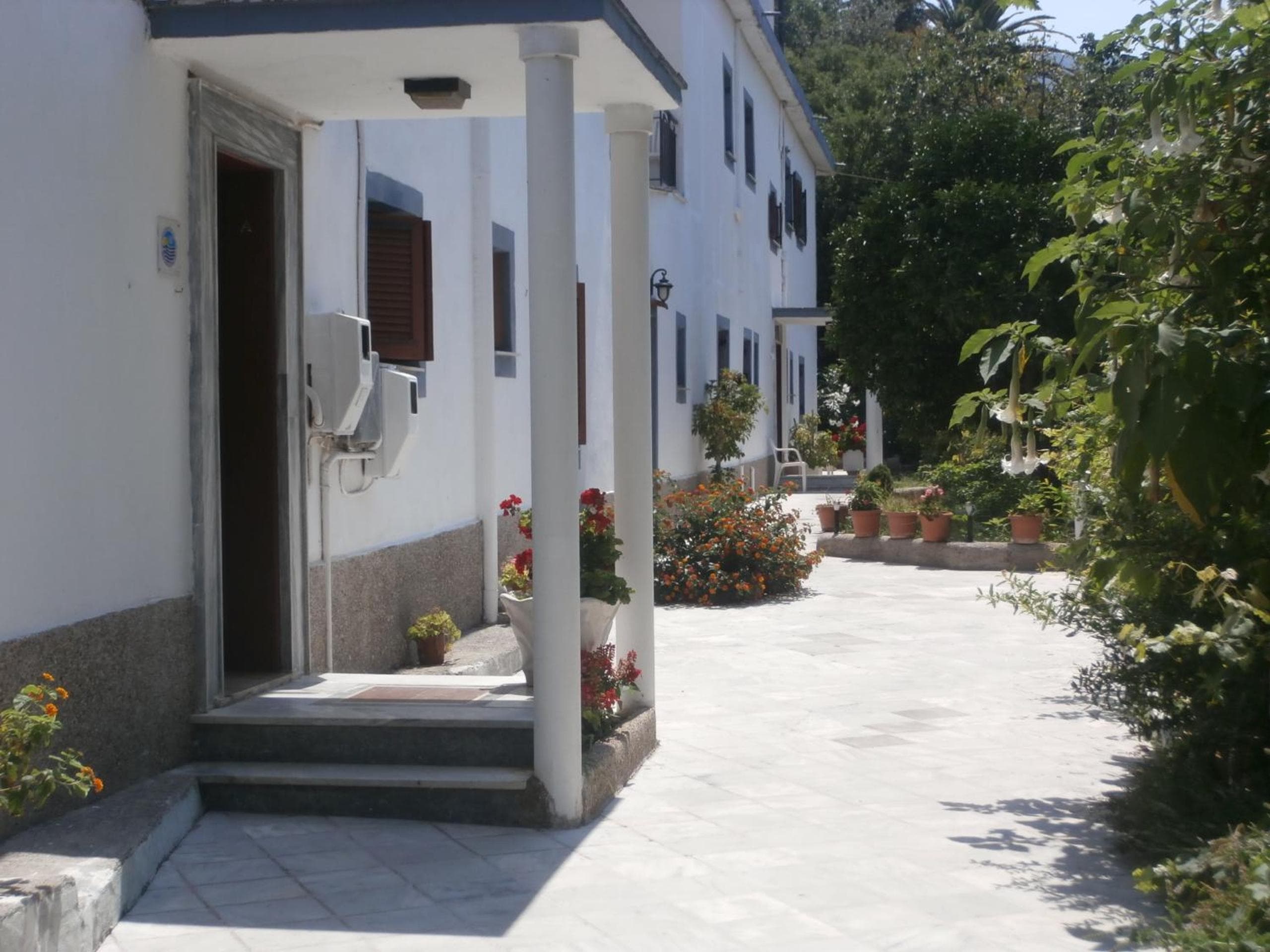Harry's Bar & Apartments 1, Acharavi, photo 4