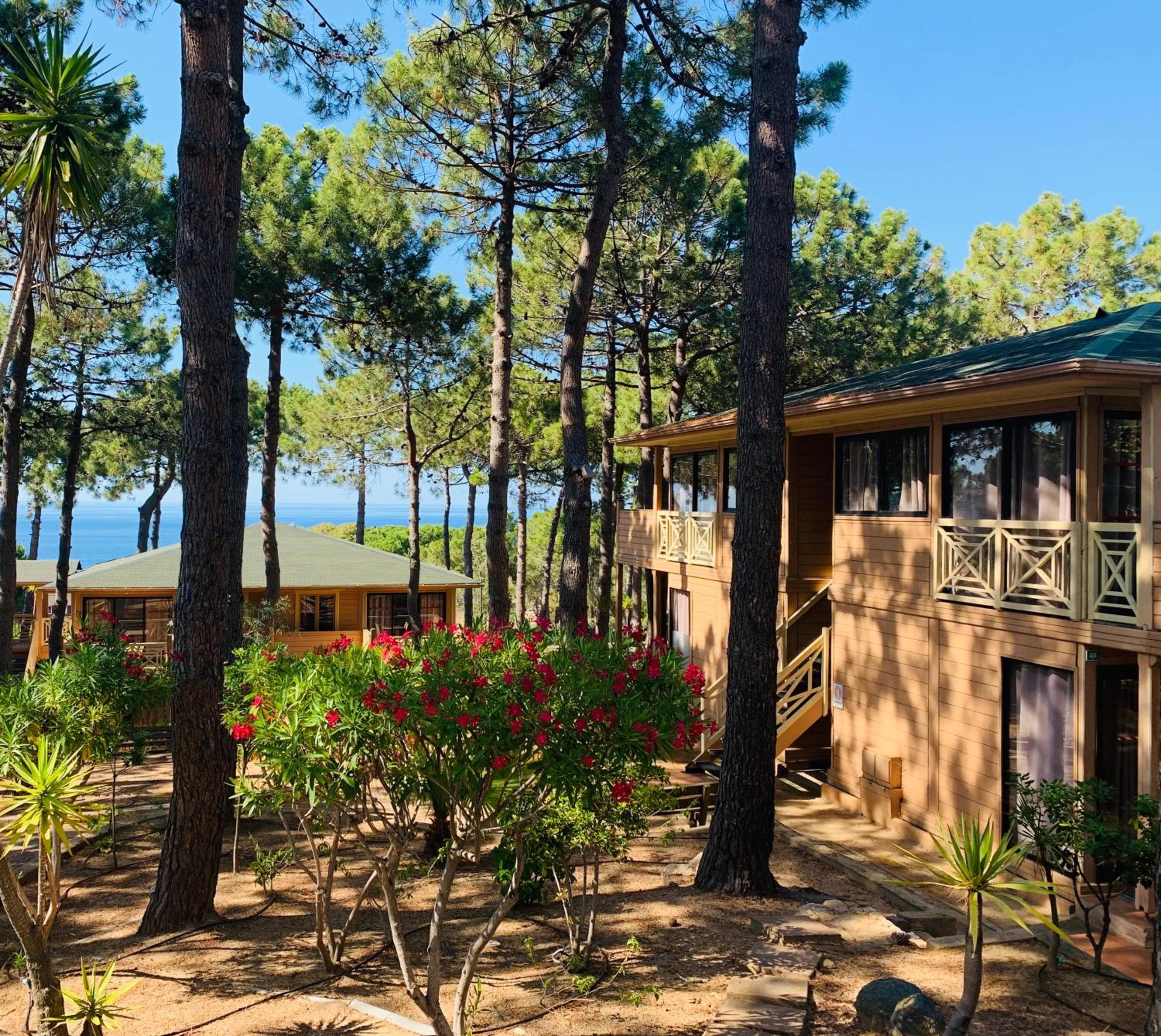 Résidence Les Pins, Calvi, photo 5