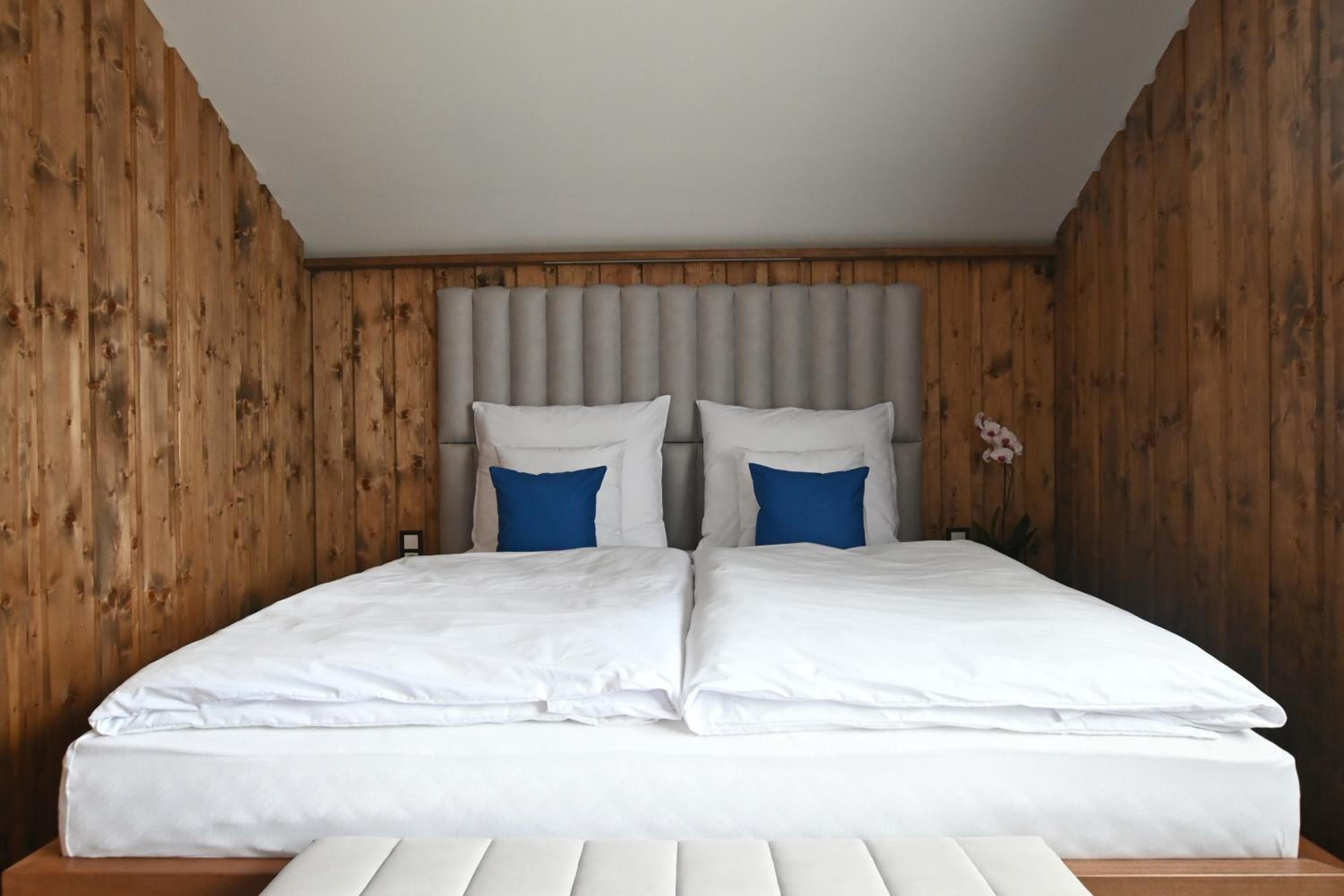 Apartmány Spessart, Chomutov, photo 6