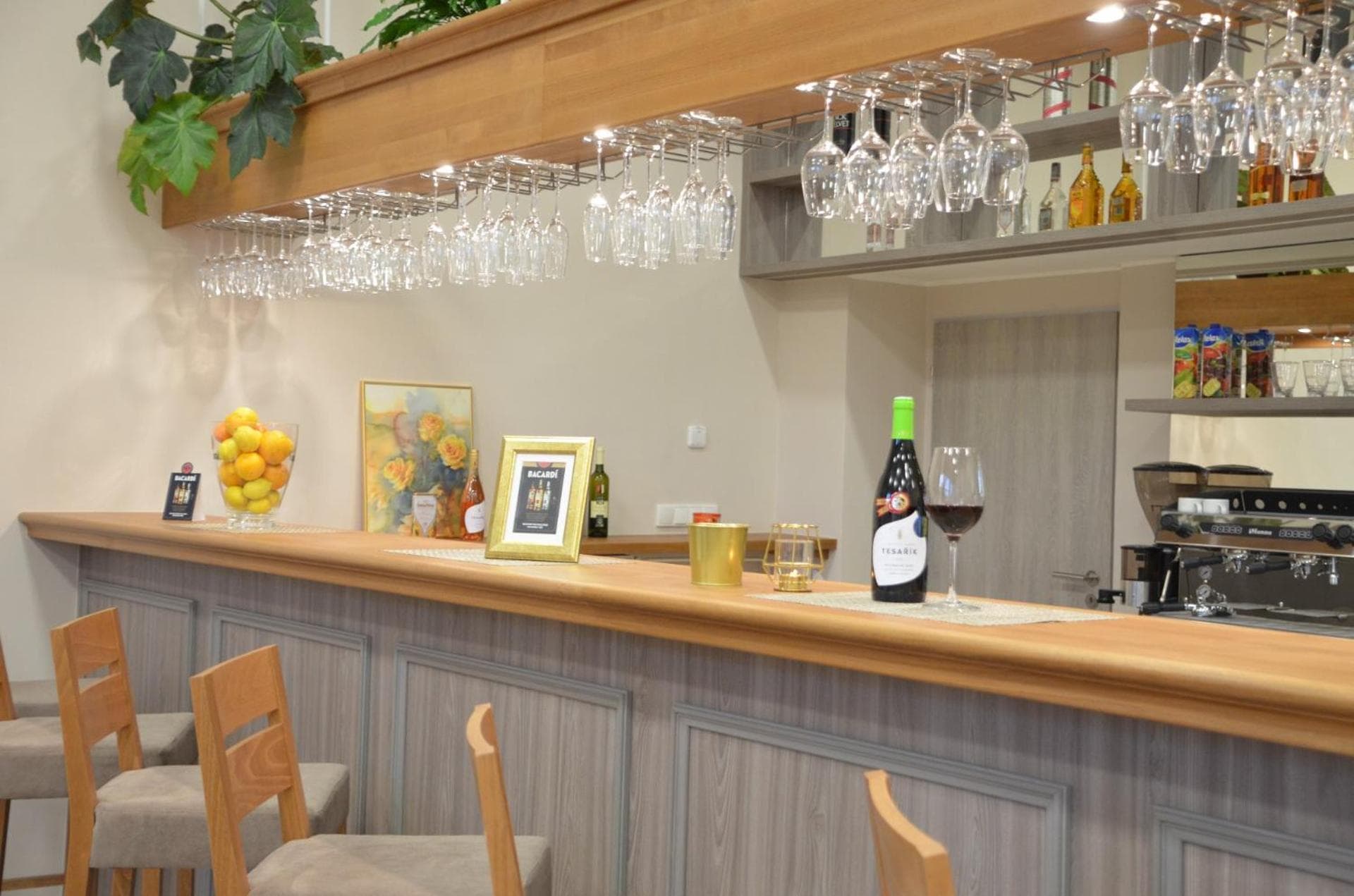 Apartmány Deluxe, Sázava, photo 6