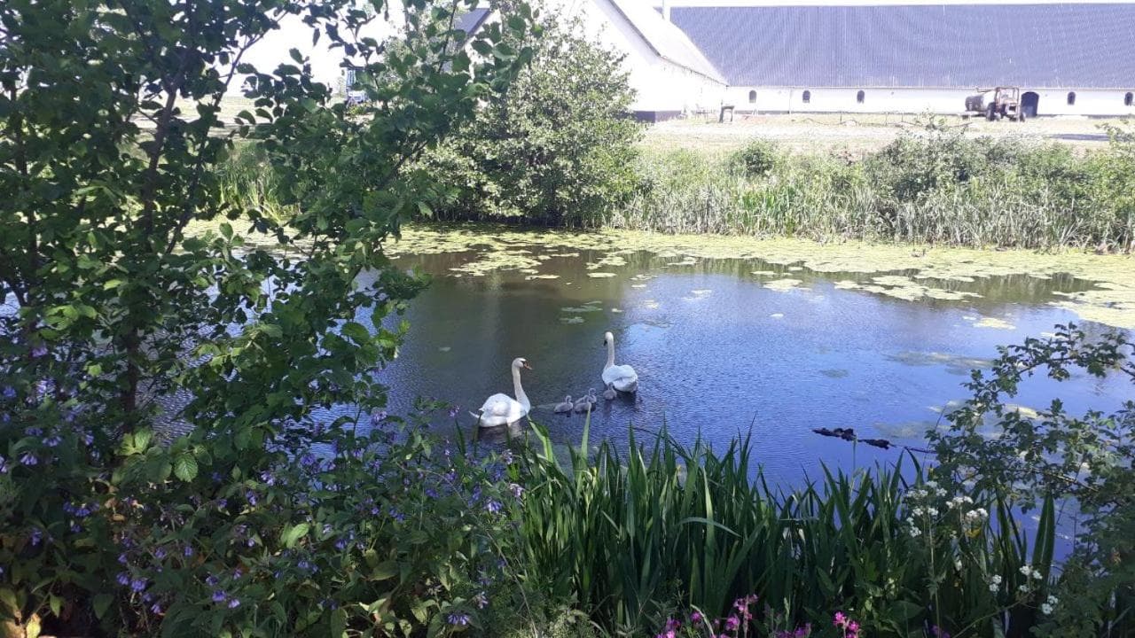 Lerbæk Hovedgaard, Frederikshavn, photo 6