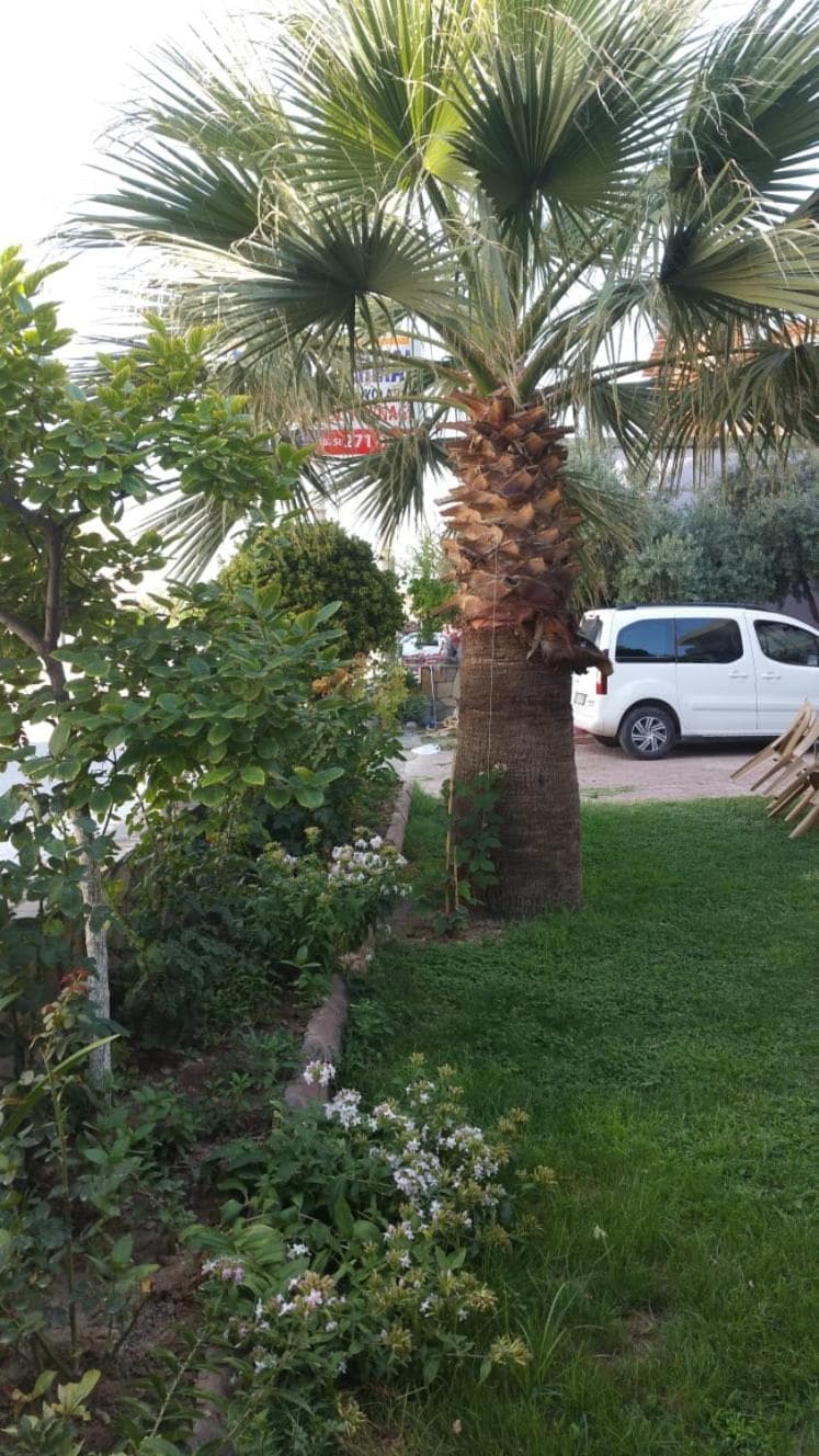 Haciely Thermal Otel, Denizli, photo 6