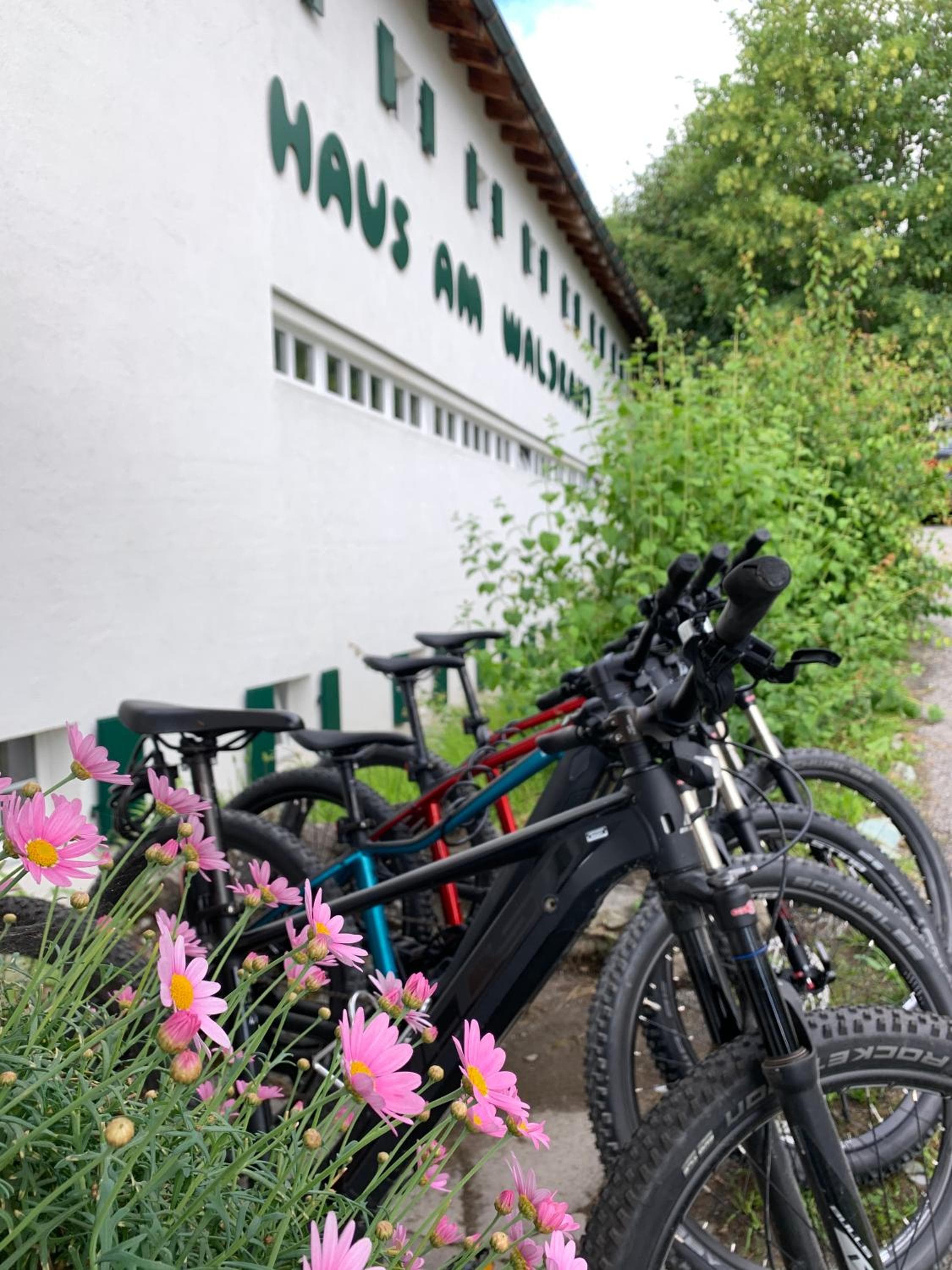 Hotel am Waldrand, Flims, photo 5