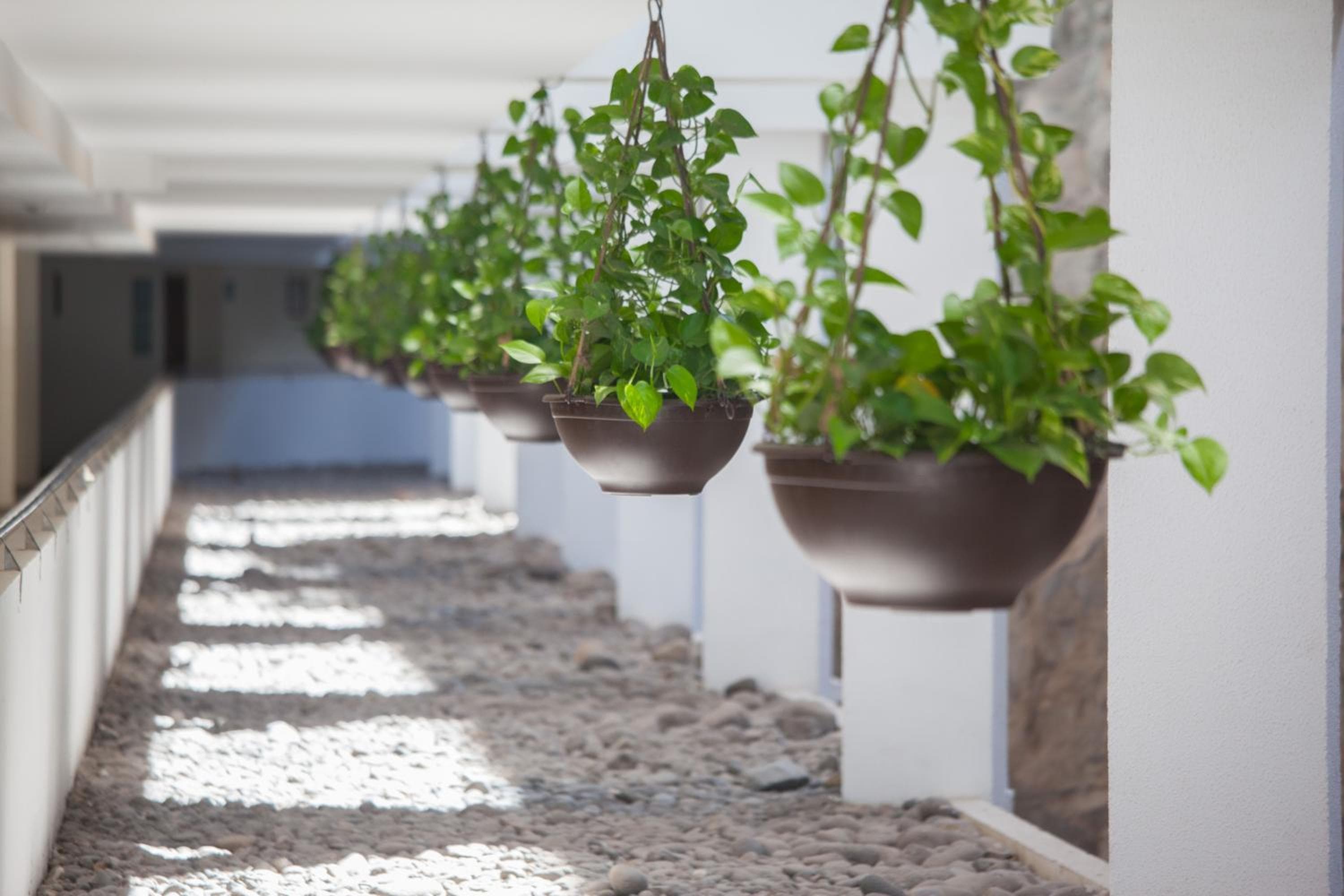 Grupotel Revoli, Puerto Rico de Gran Canaria, photo 6