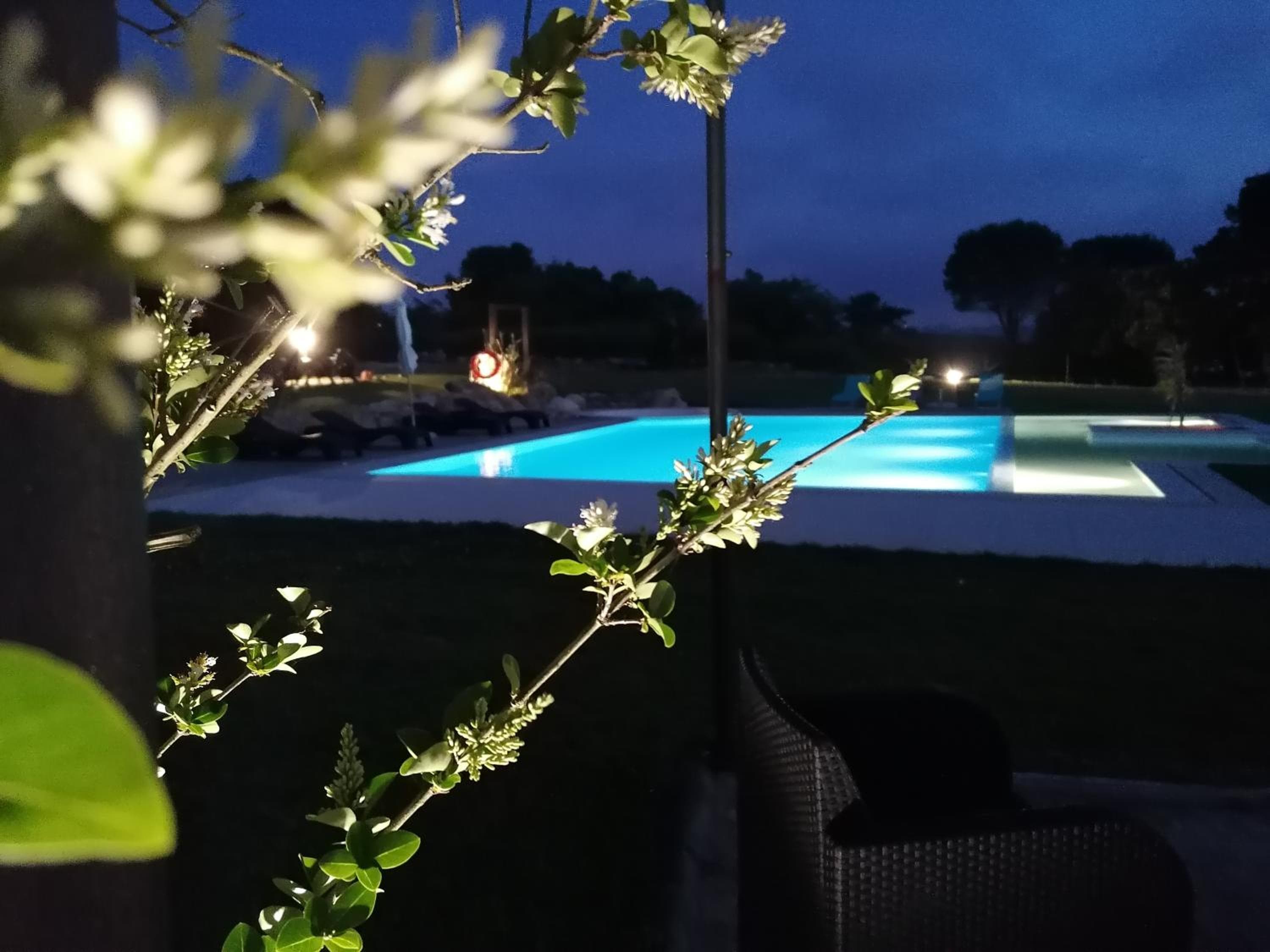 PÉROLA D'ÓBIDOS t1, Óbidos, photo 3