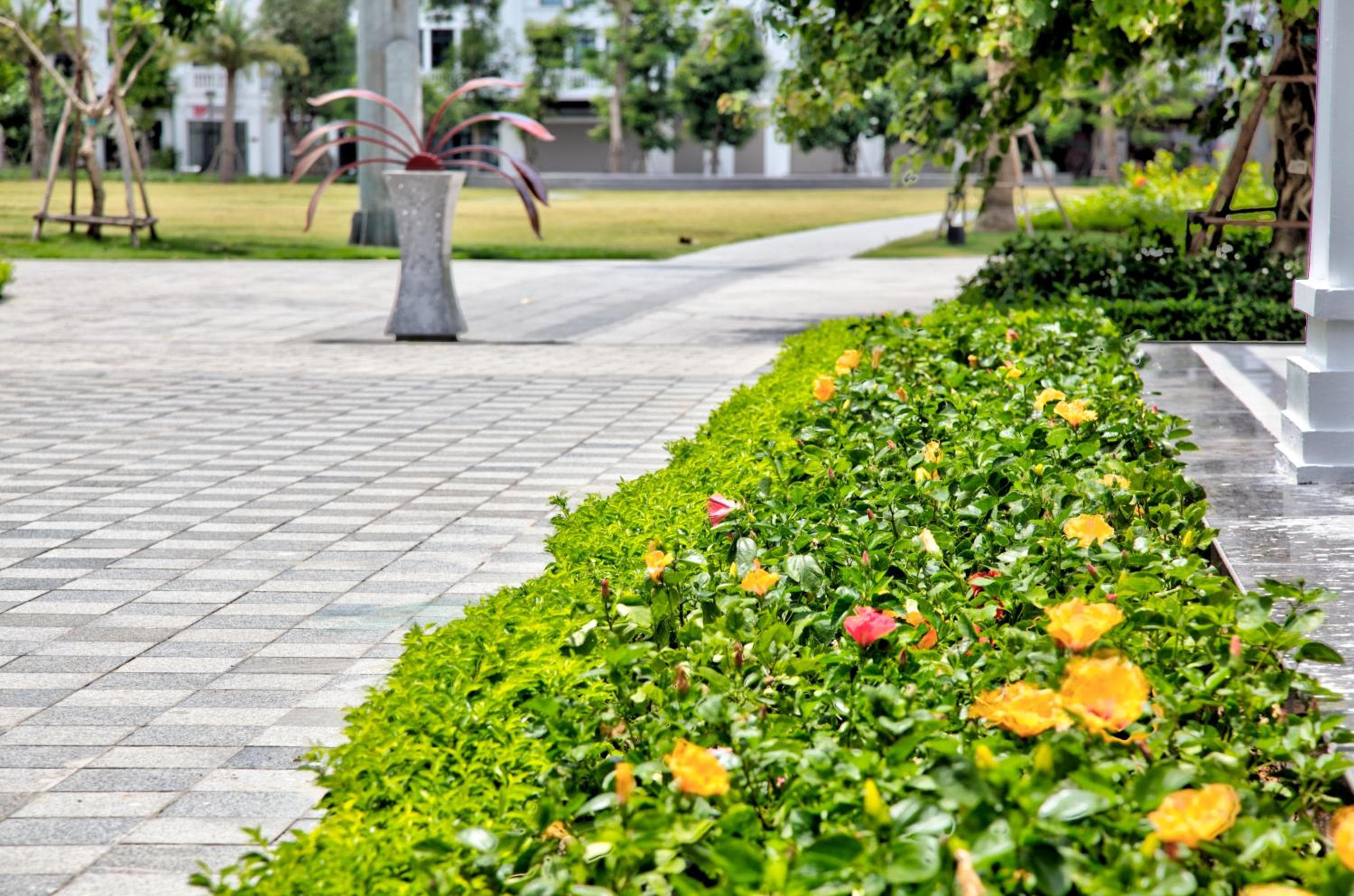 The Flamboyant #StayWork Vinhomes Imperia, Hai Phong, photo 6