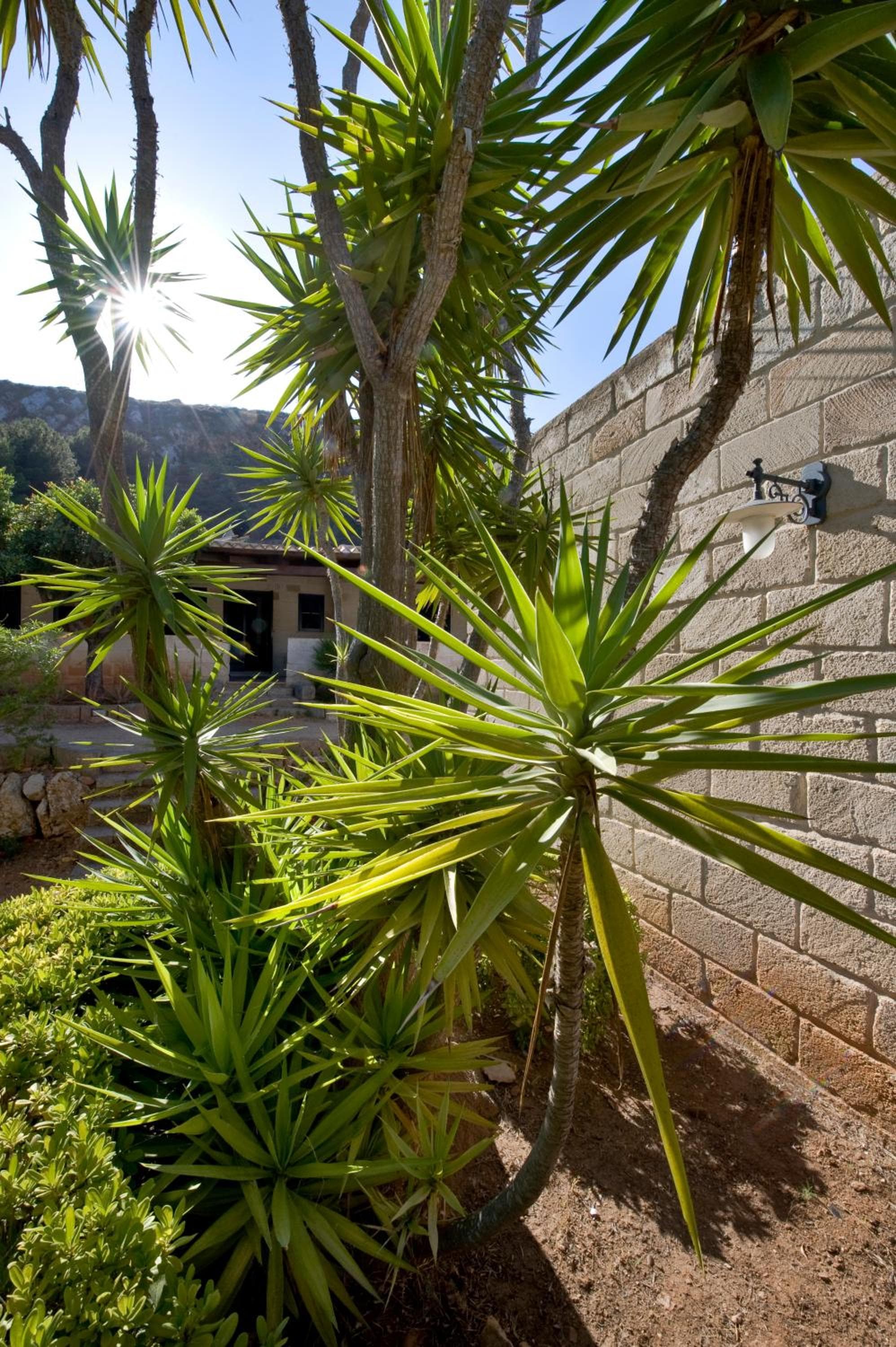Miramare Residence, Favignana, photo 5