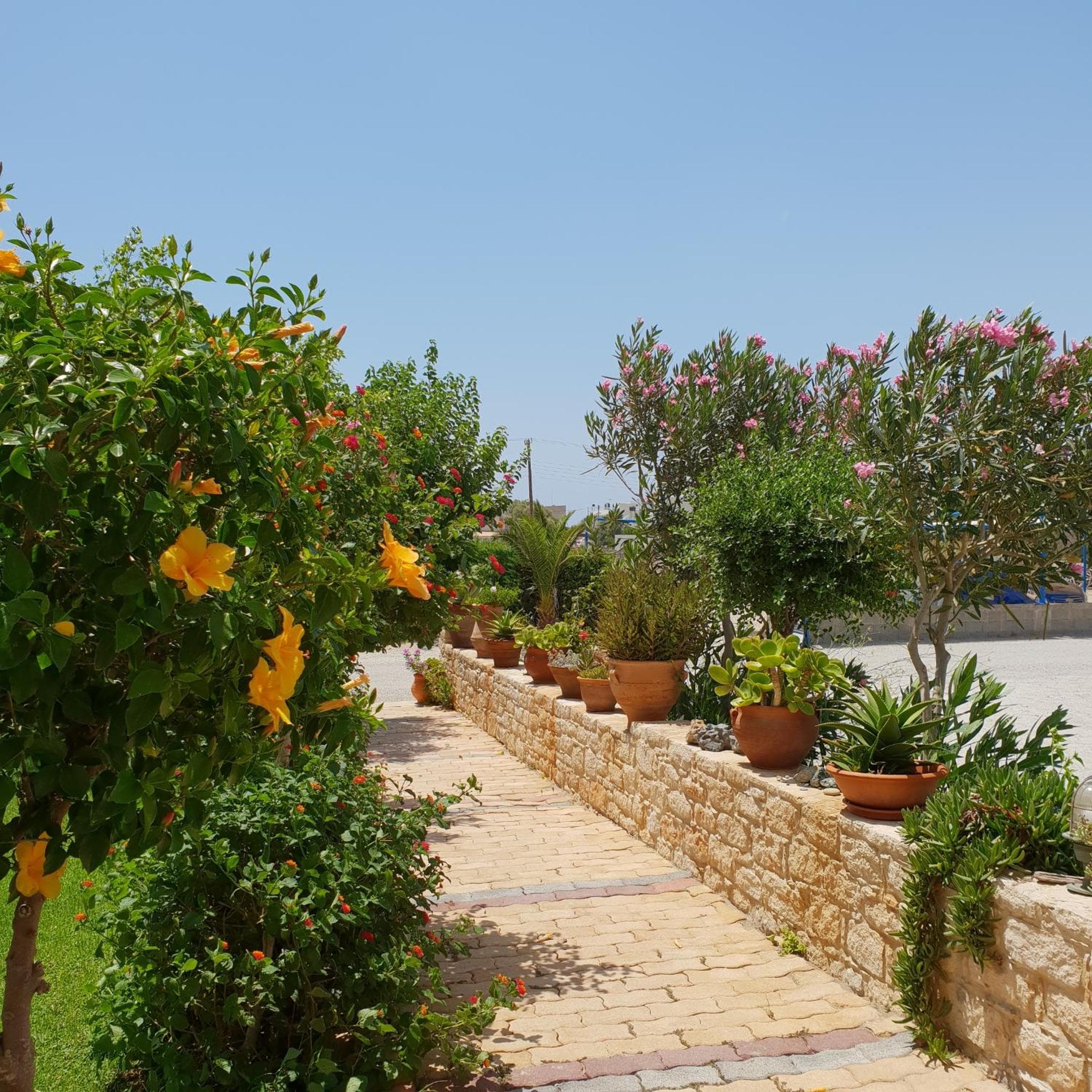 Hotel Aglaia, Kalamaki Heraklion, photo 4