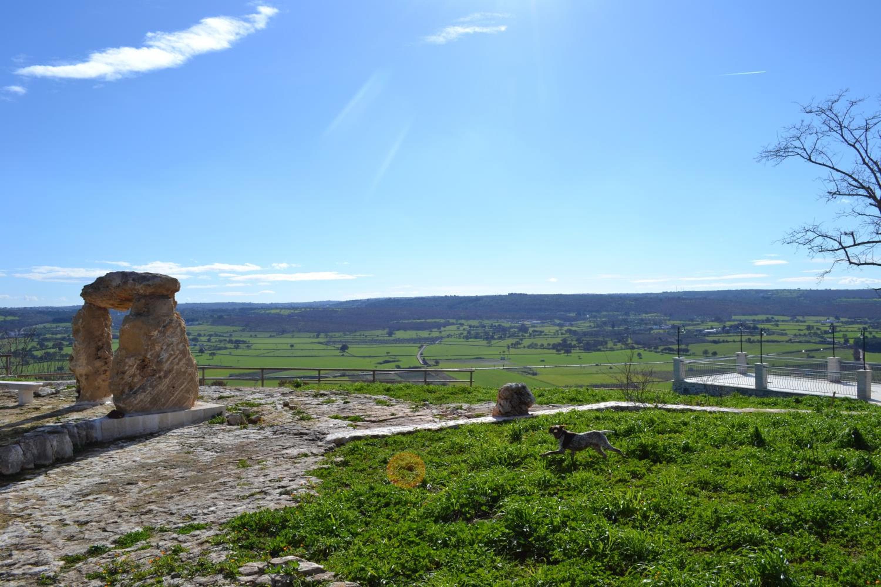 Le Dimore della Via Lattea, Alberobello, photo 3