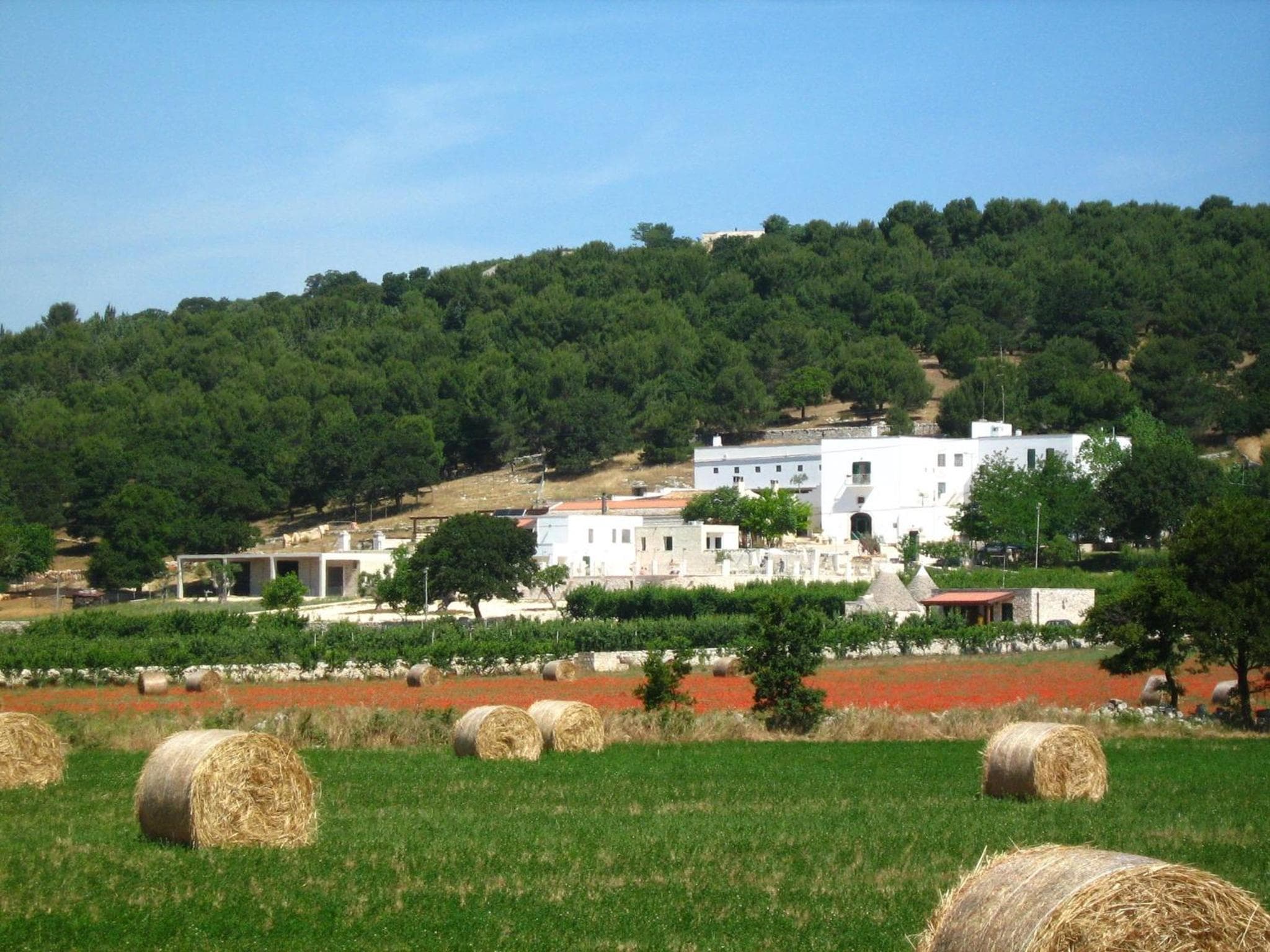 Le Dimore della Via Lattea, Alberobello, photo 4