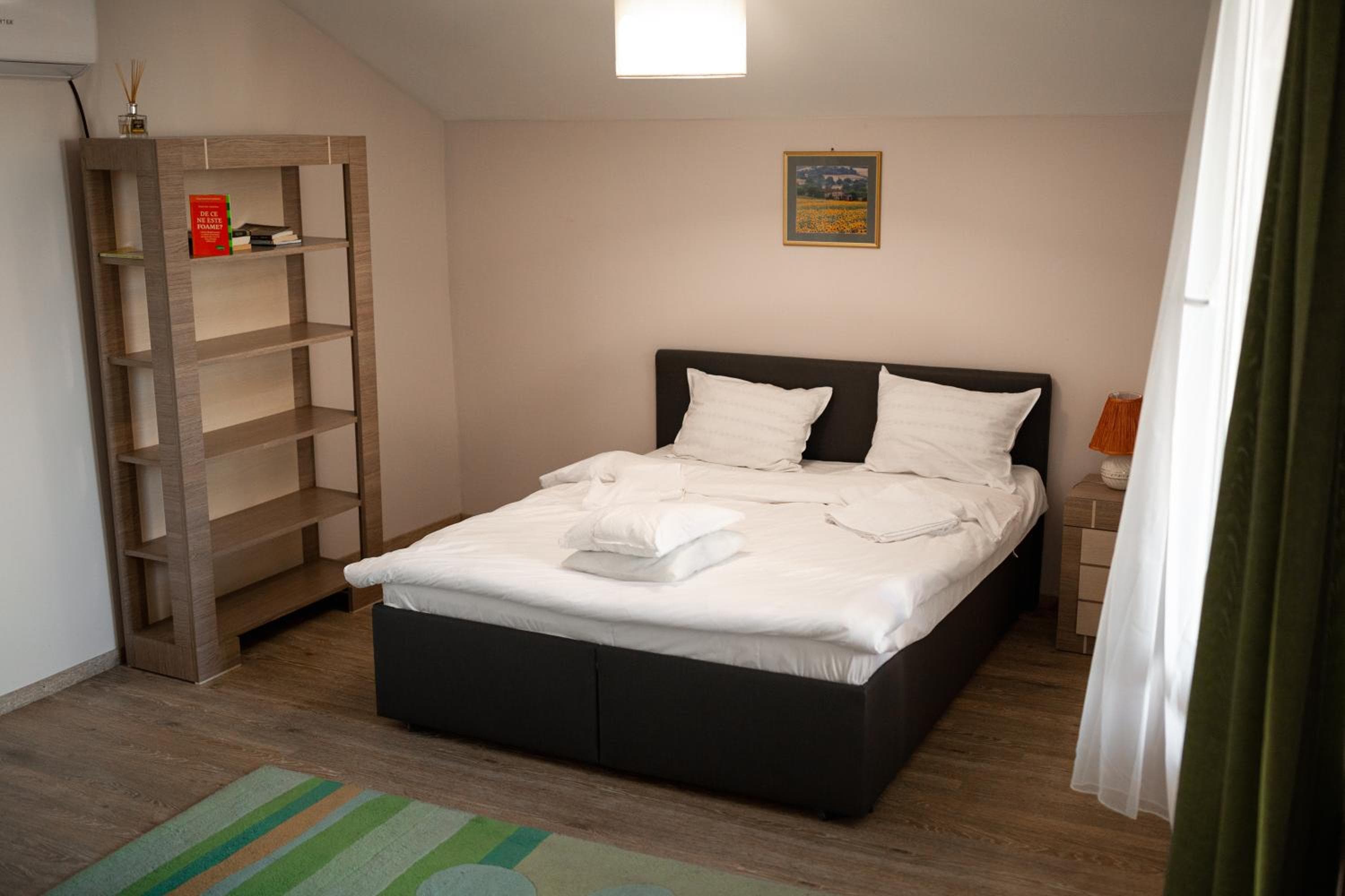 Viking Apartment Grigo, Cluj-Napoca, photo 3