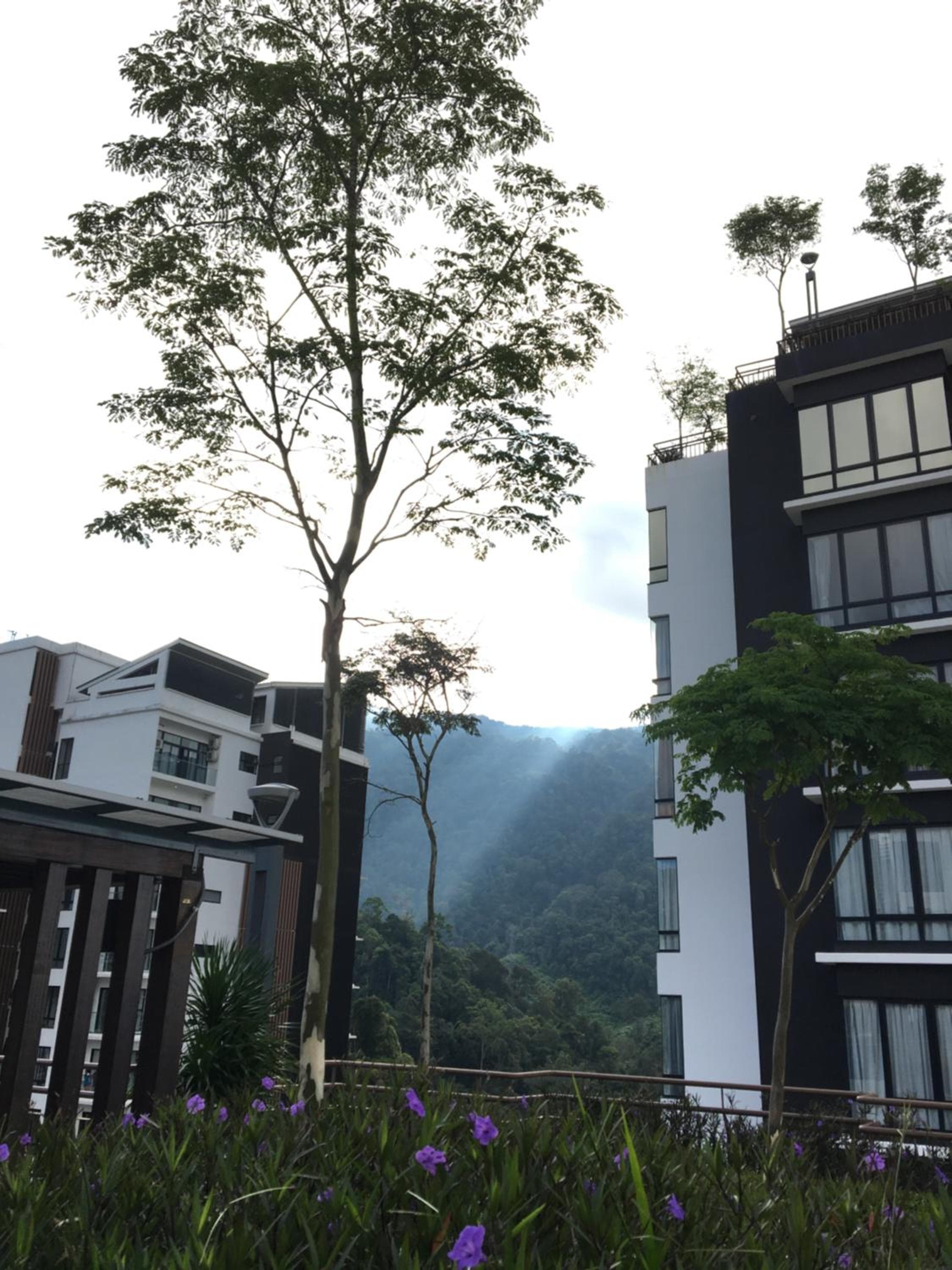 Zen at Midhills Genting, Genting Highlands, photo 2