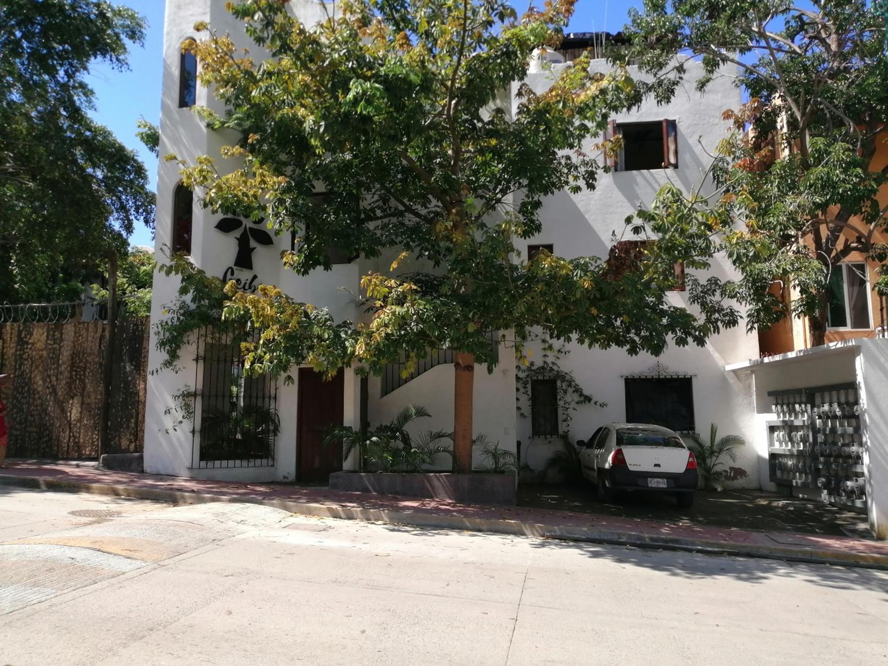 Ceiba Studios, Zihuatanejo