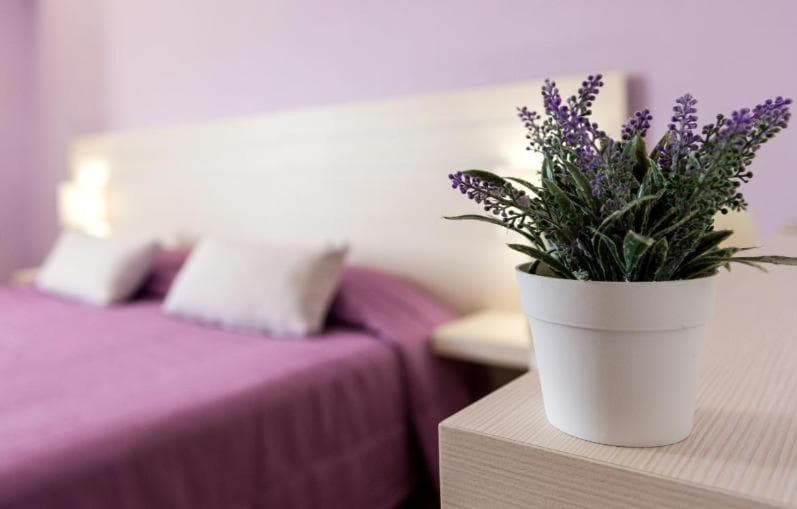 Terinikos Sunny Garden Hotel & Junior Suites, Ialyssos, photo 3