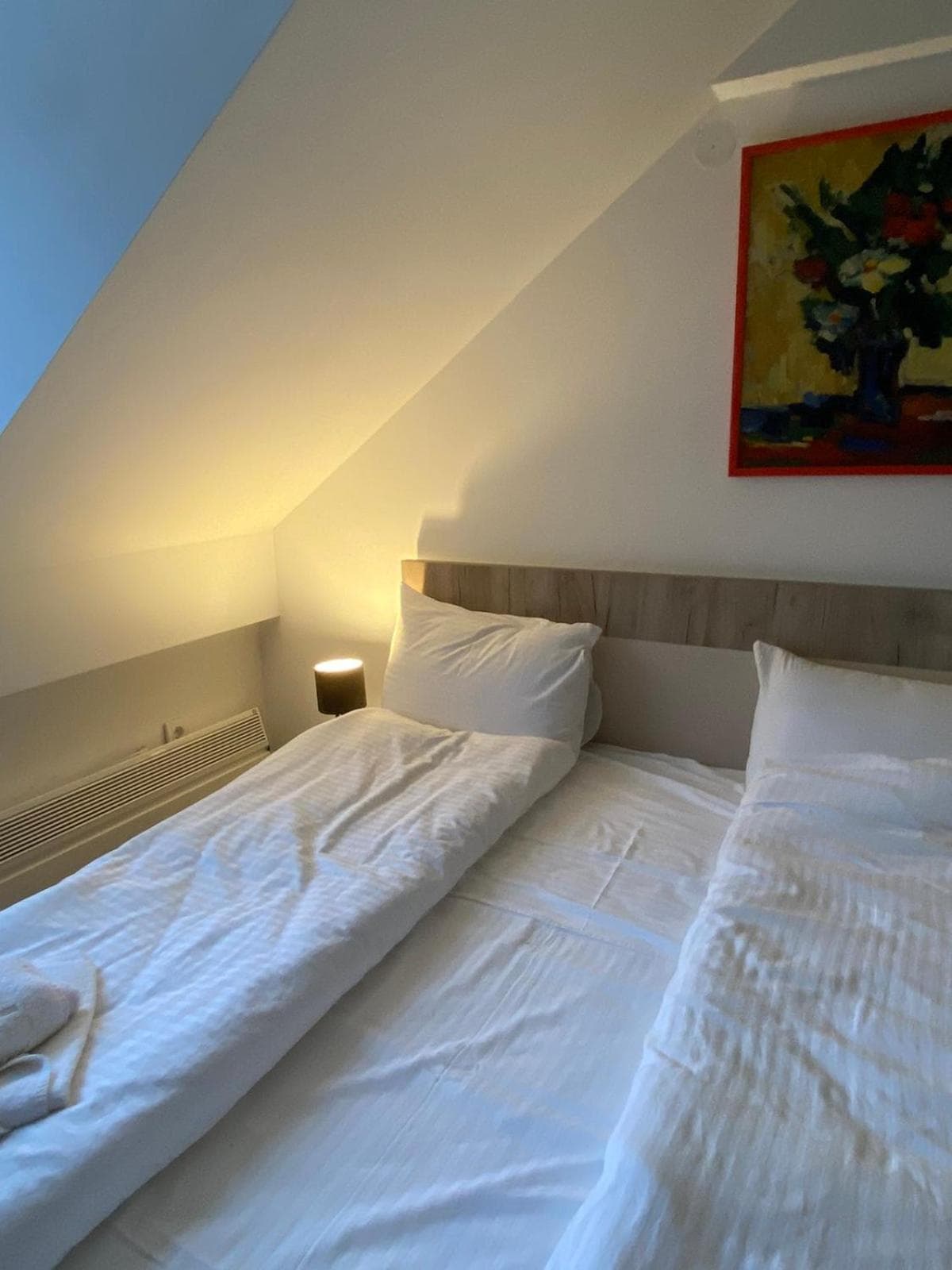 Kopaonik Apartmani Milmari - Katic, Kopaonik, photo 5