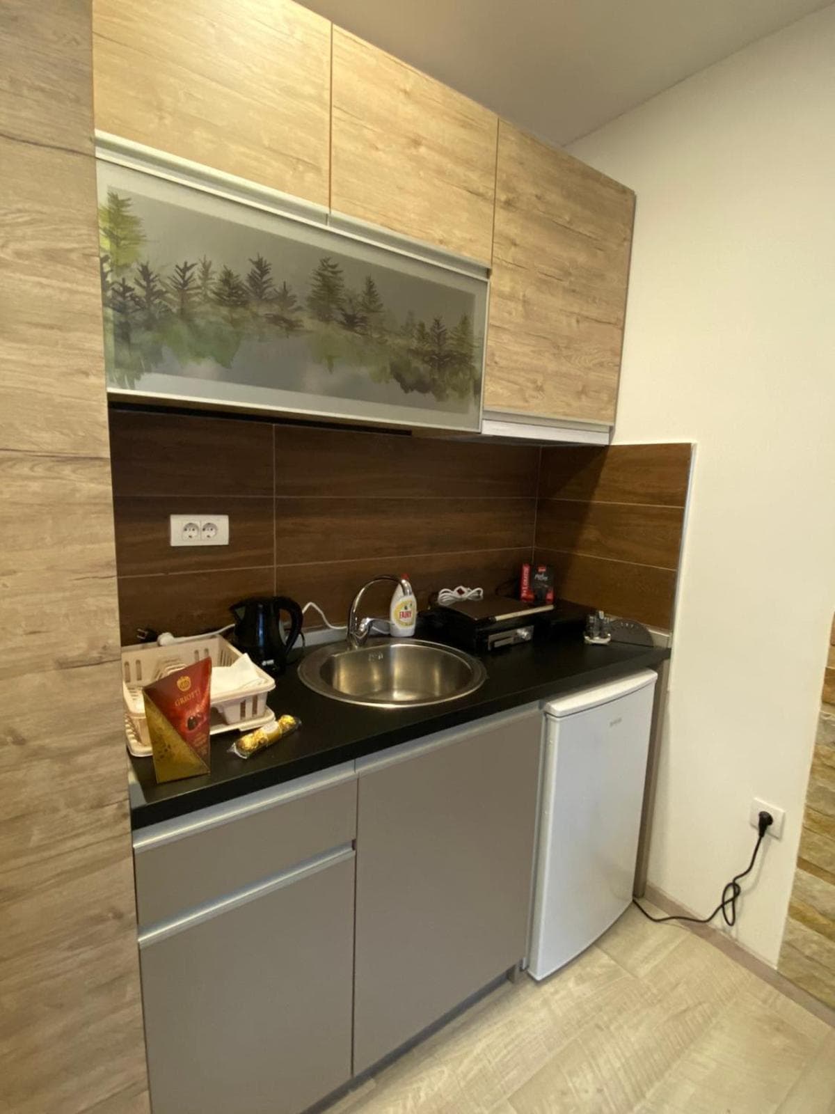 Kopaonik Apartmani Milmari - Katic, Kopaonik, photo 4
