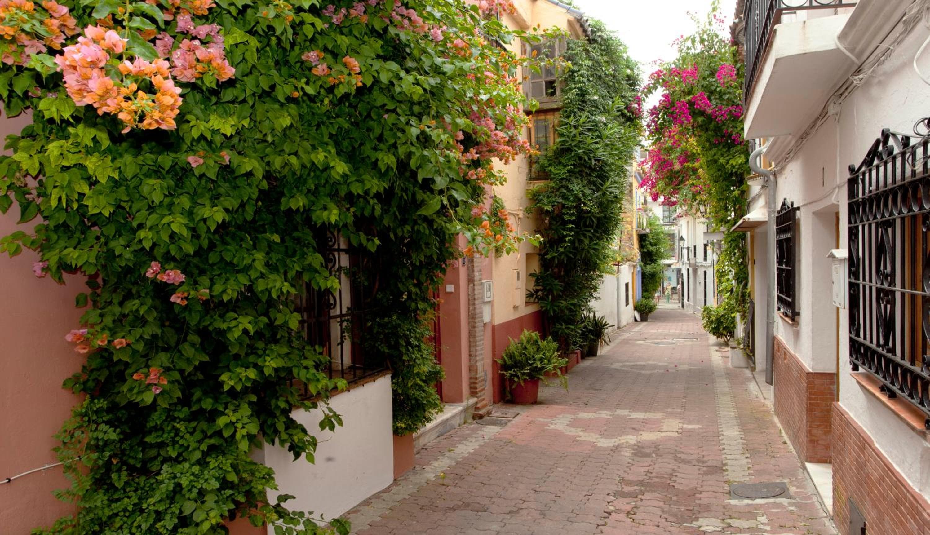 Puerta De Aduares, Marbella, photo 6